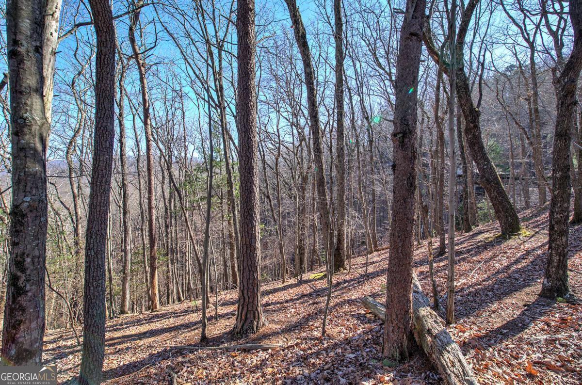 0 Walnut Mountain Road Property Photo 5