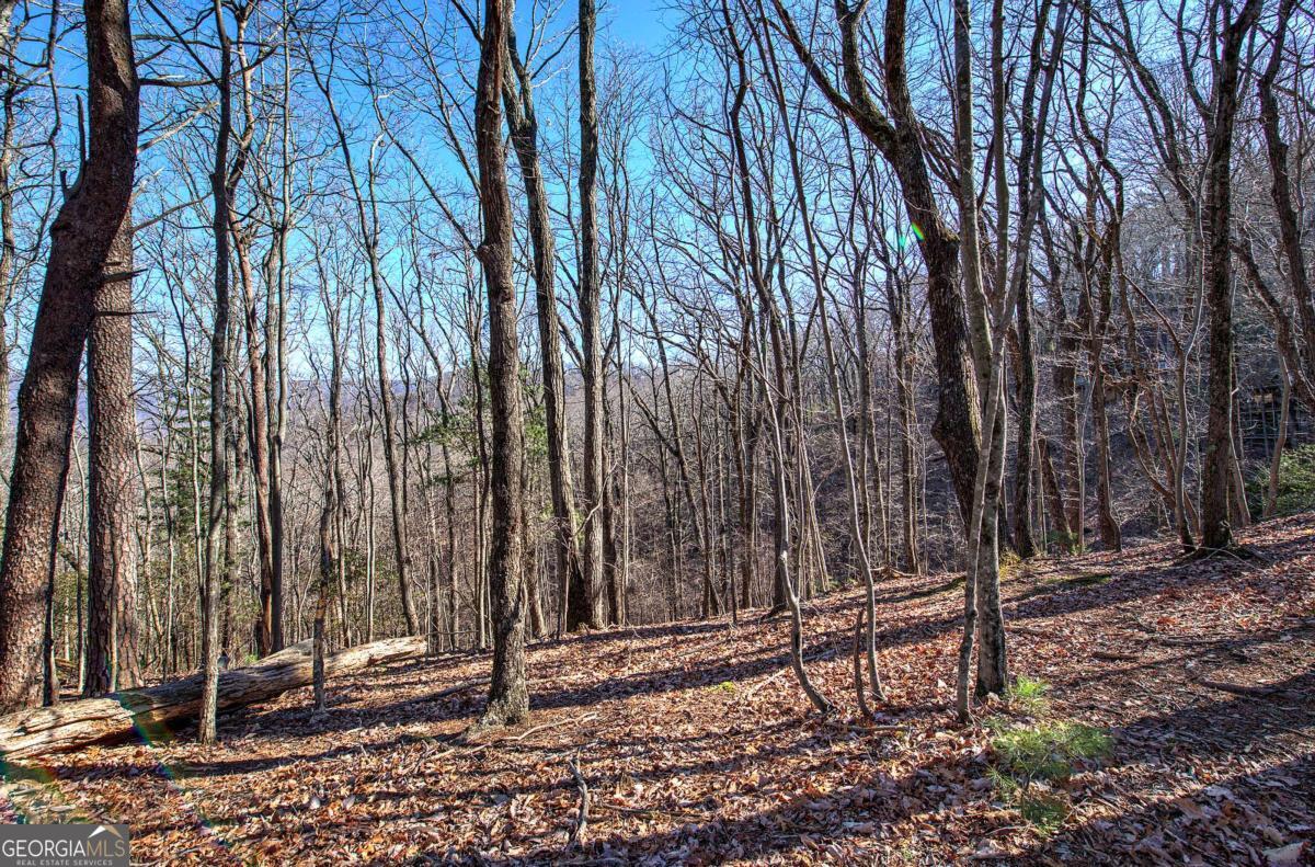 0 Walnut Mountain Road Property Photo 6