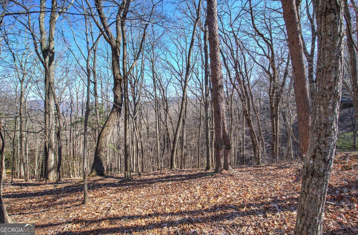 0 Walnut Mountain Road Property Photo 7