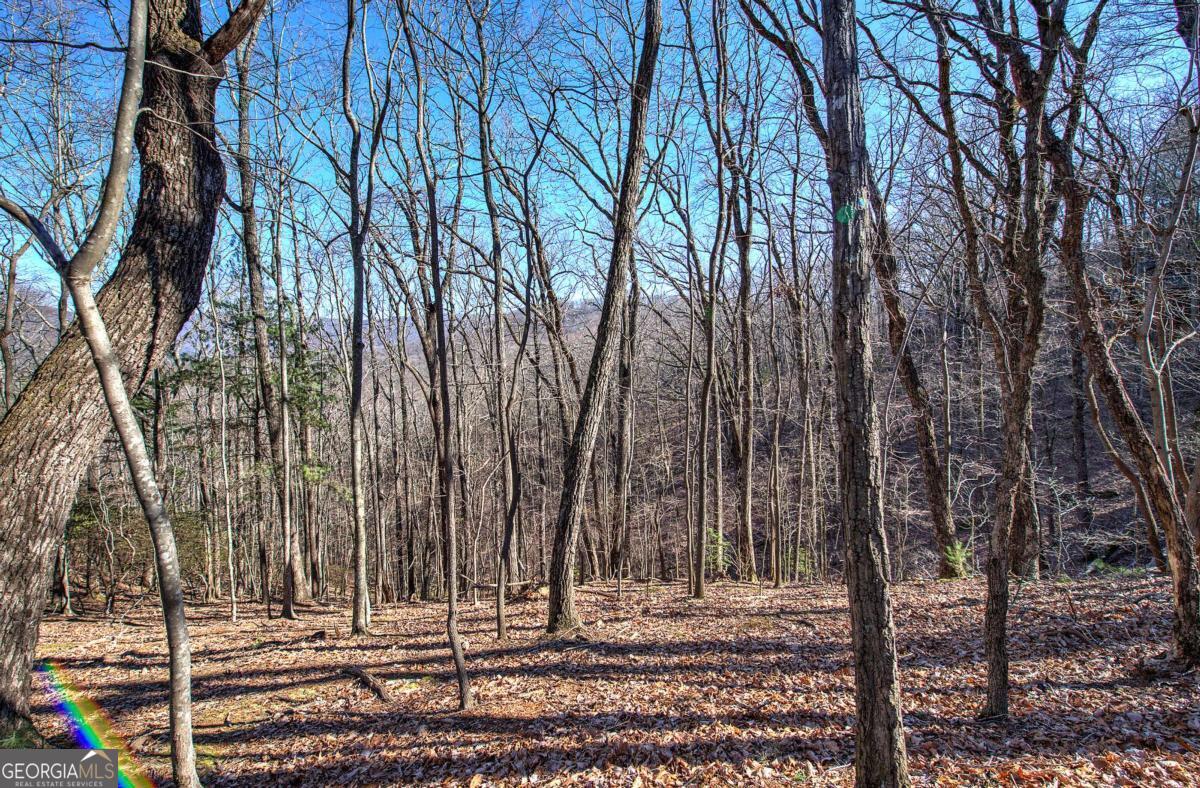 0 Walnut Mountain Road Property Photo 8