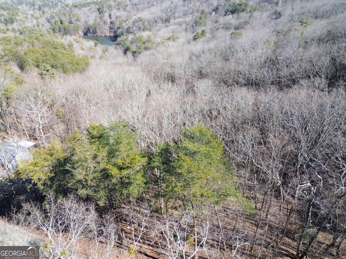 0 Walnut Mountain Road Property Photo 12