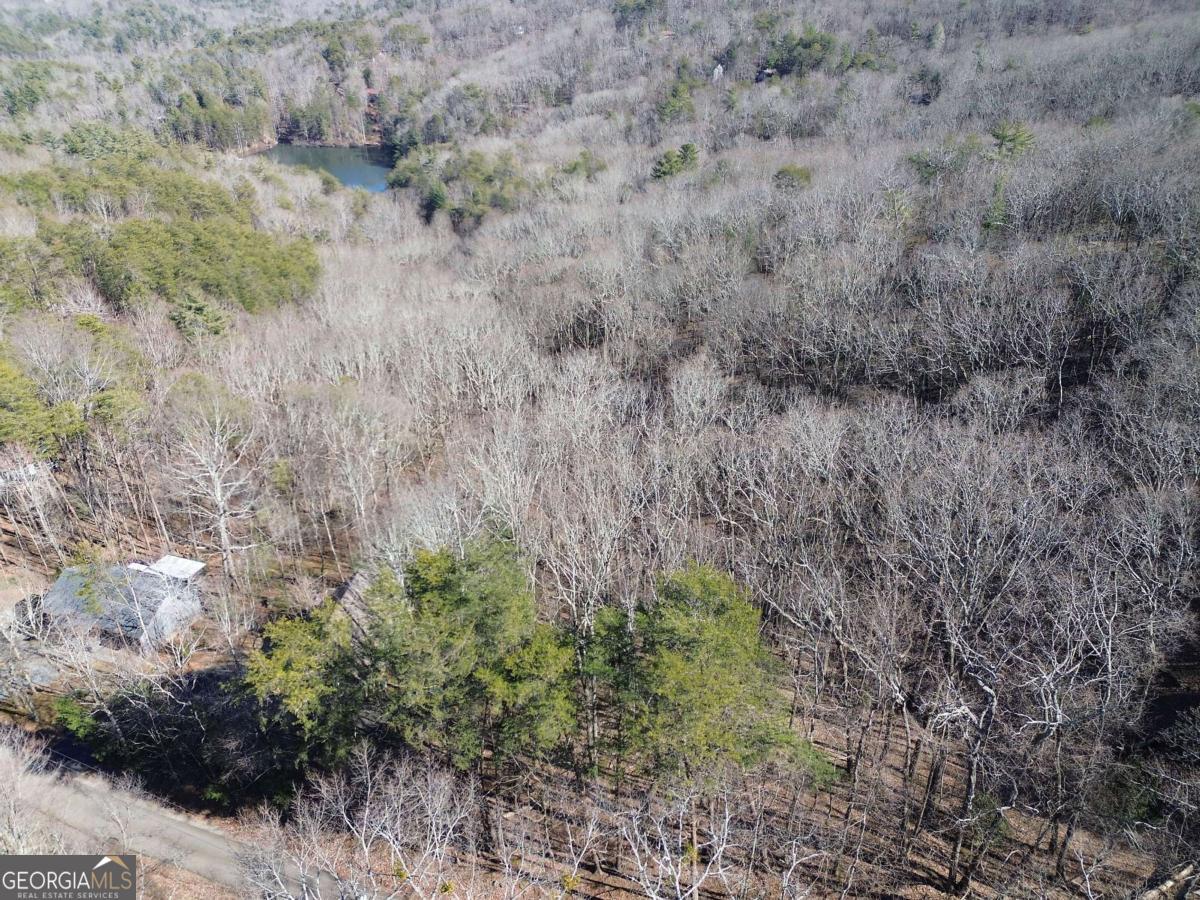 0 Walnut Mountain Road Property Photo 13
