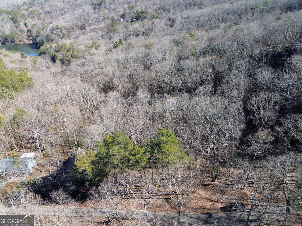 0 Walnut Mountain Road Property Photo 15
