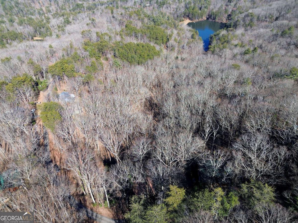 0 Walnut Mountain Road Property Photo 19