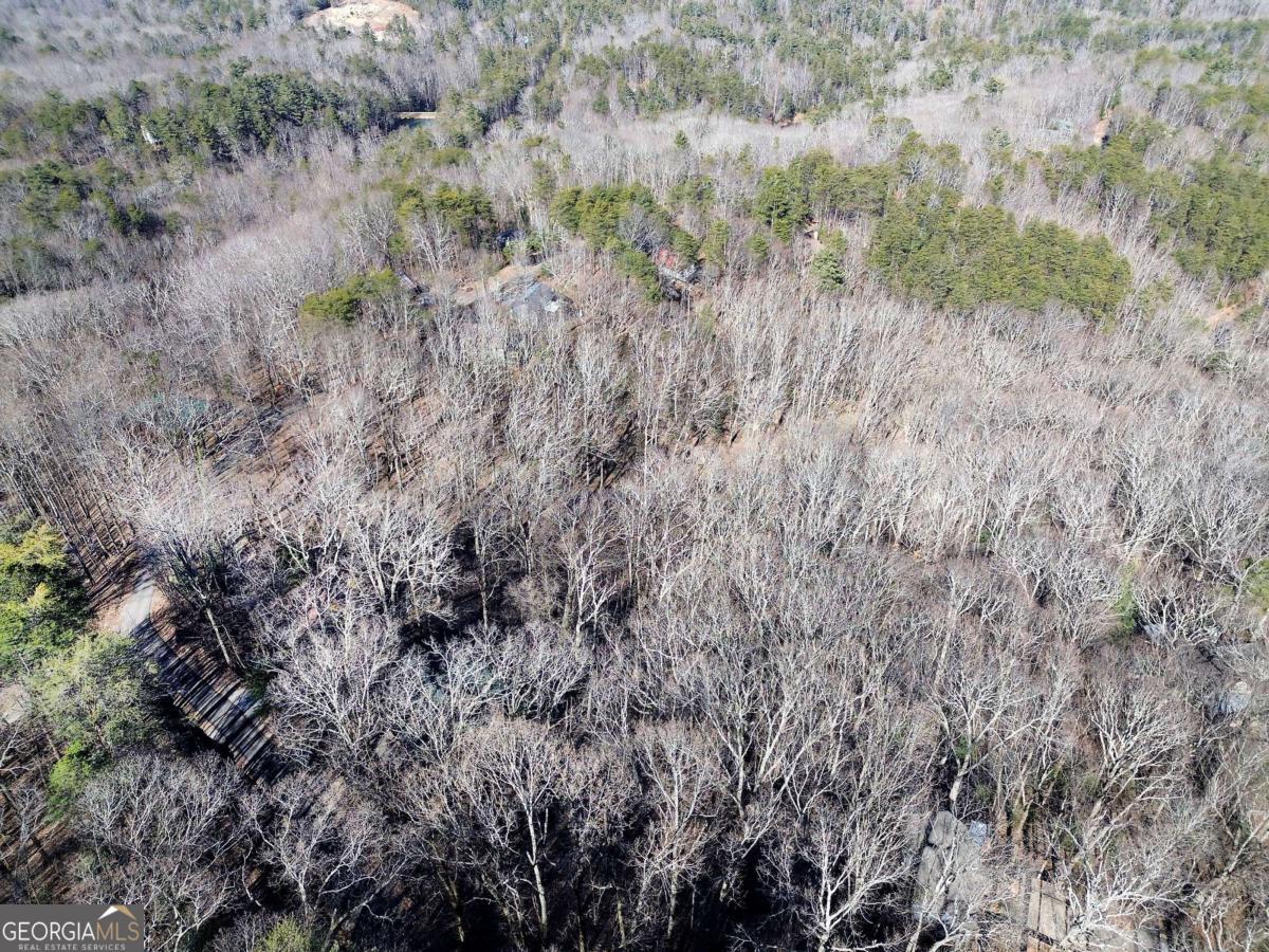 0 Walnut Mountain Road Property Photo 20