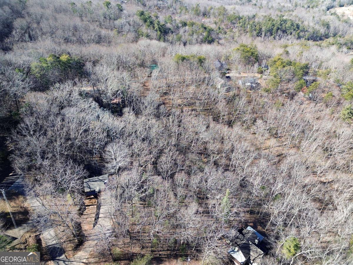 0 Walnut Mountain Road Property Photo 21