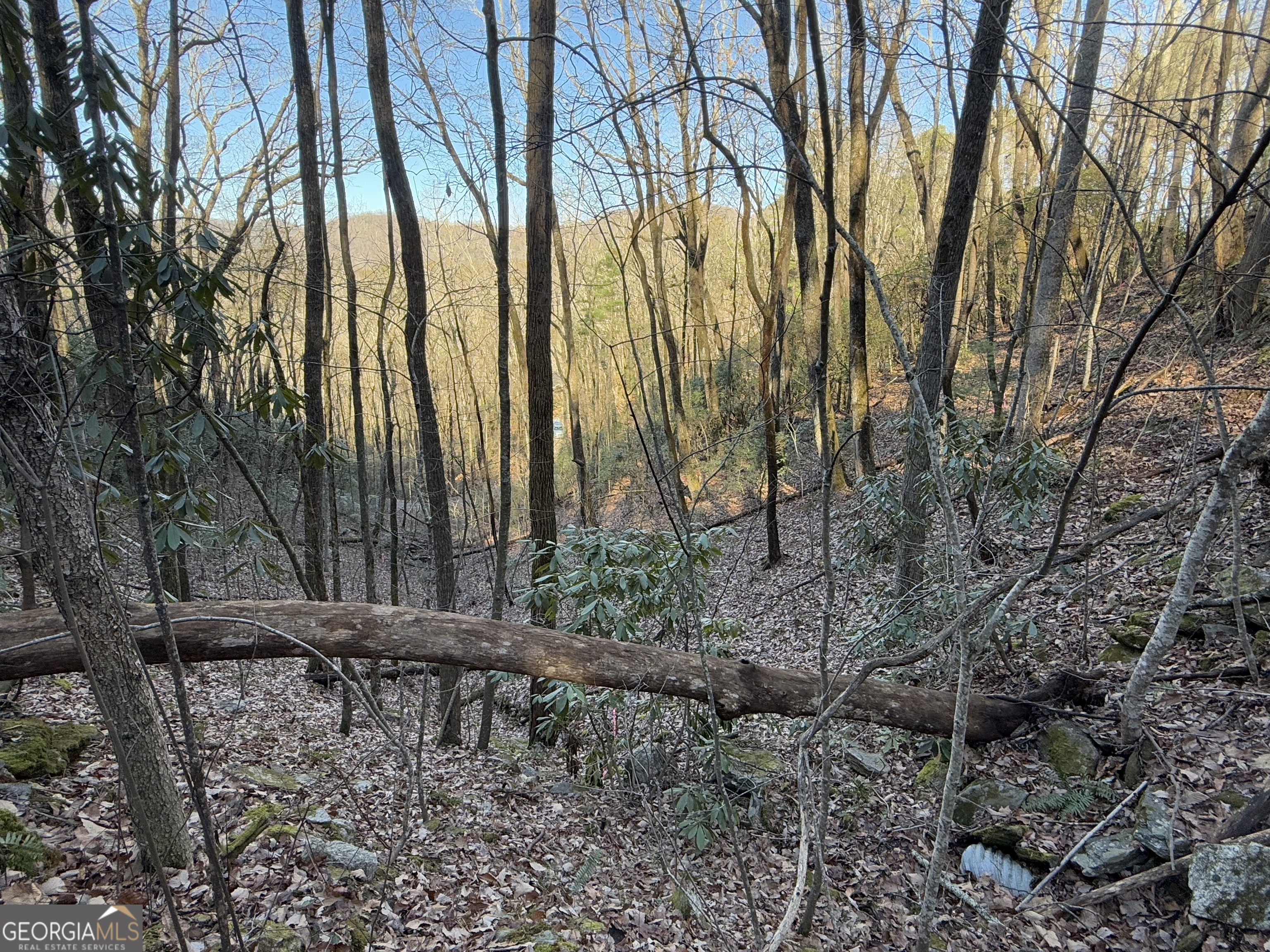 0 Arbutus Trail Arbutus Trail Property Photo 2