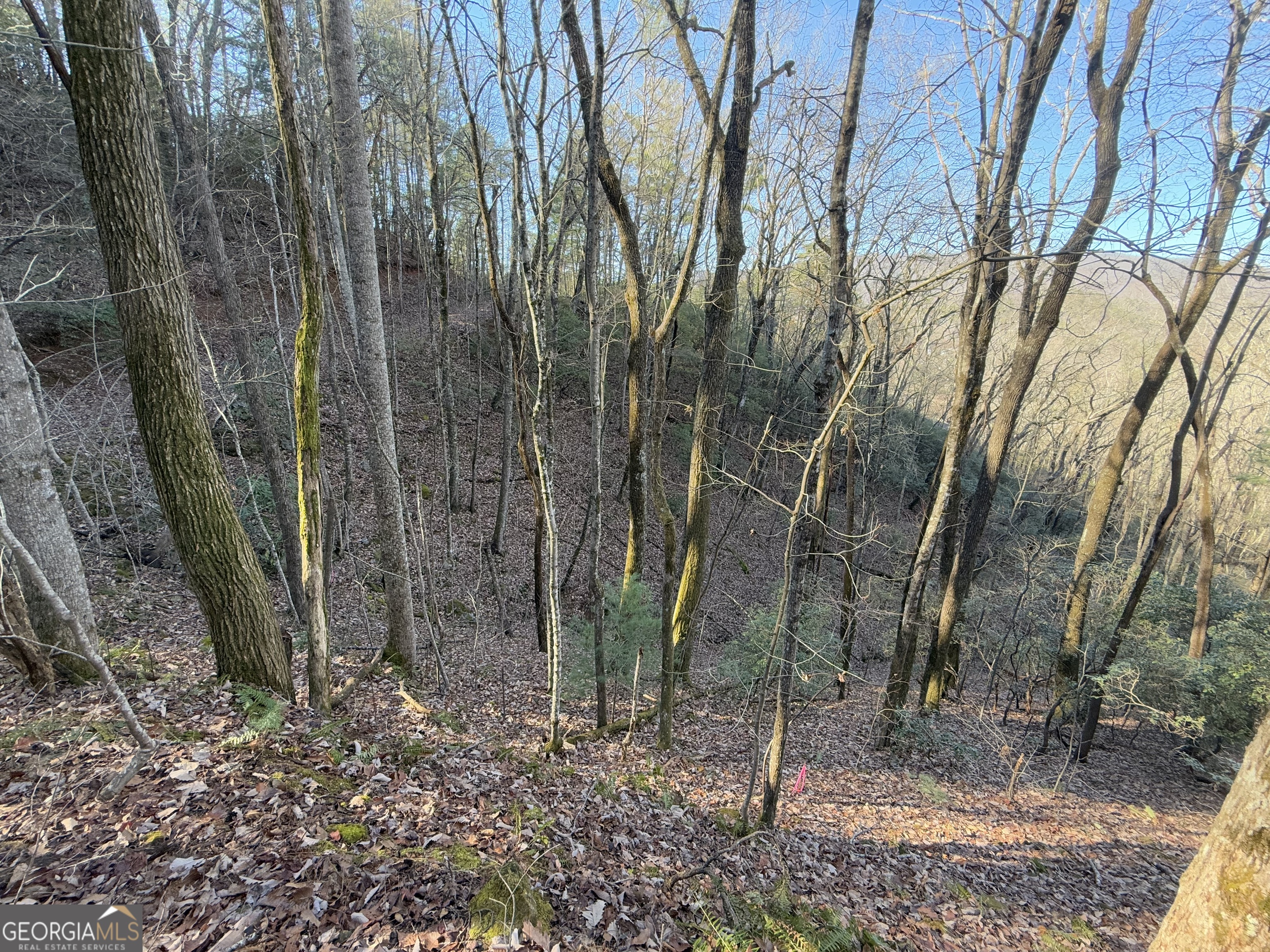 0 Arbutus Trail Arbutus Trail Property Photo 3