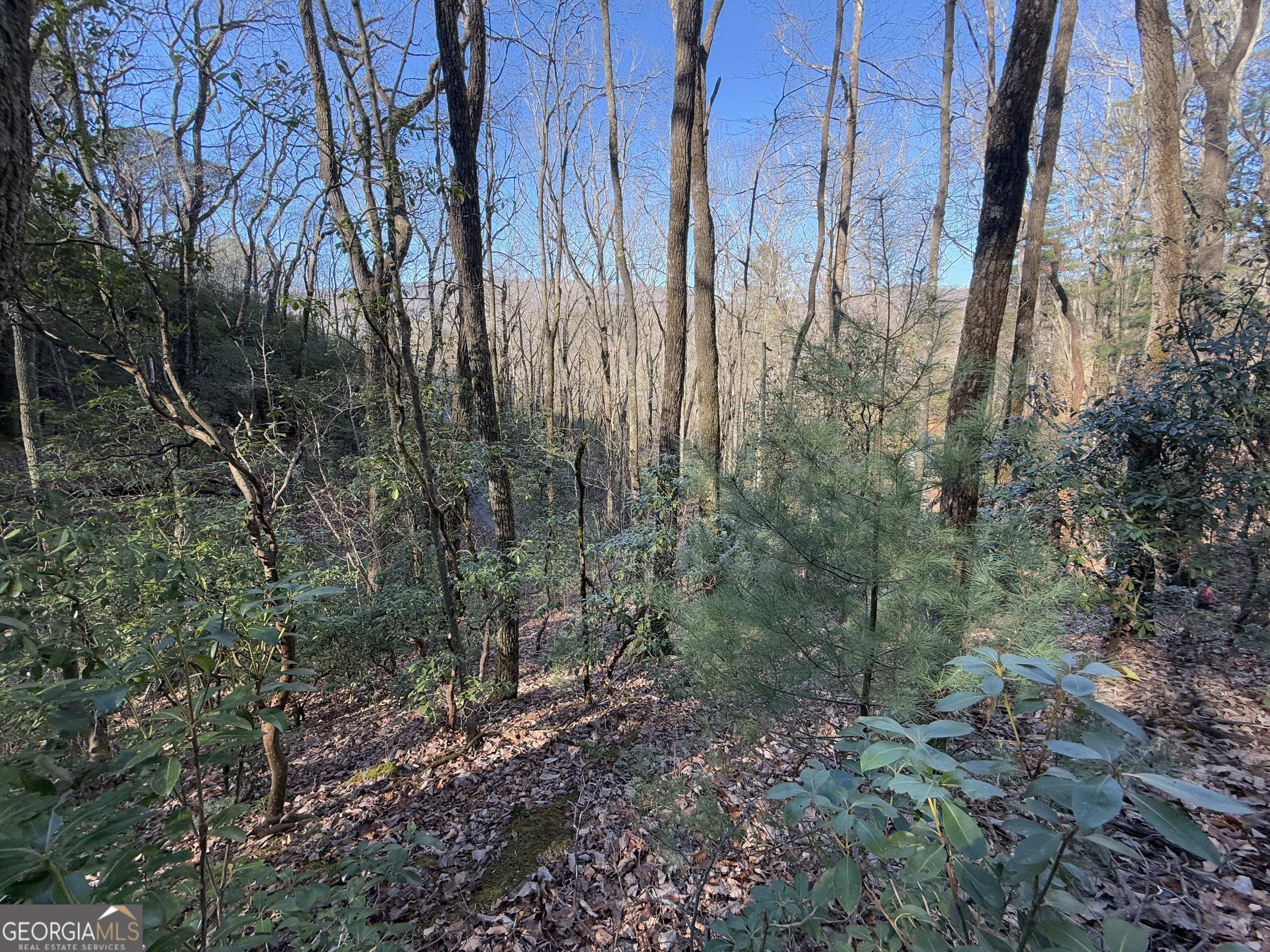 0 Arbutus Trail Arbutus Trail Property Photo 4