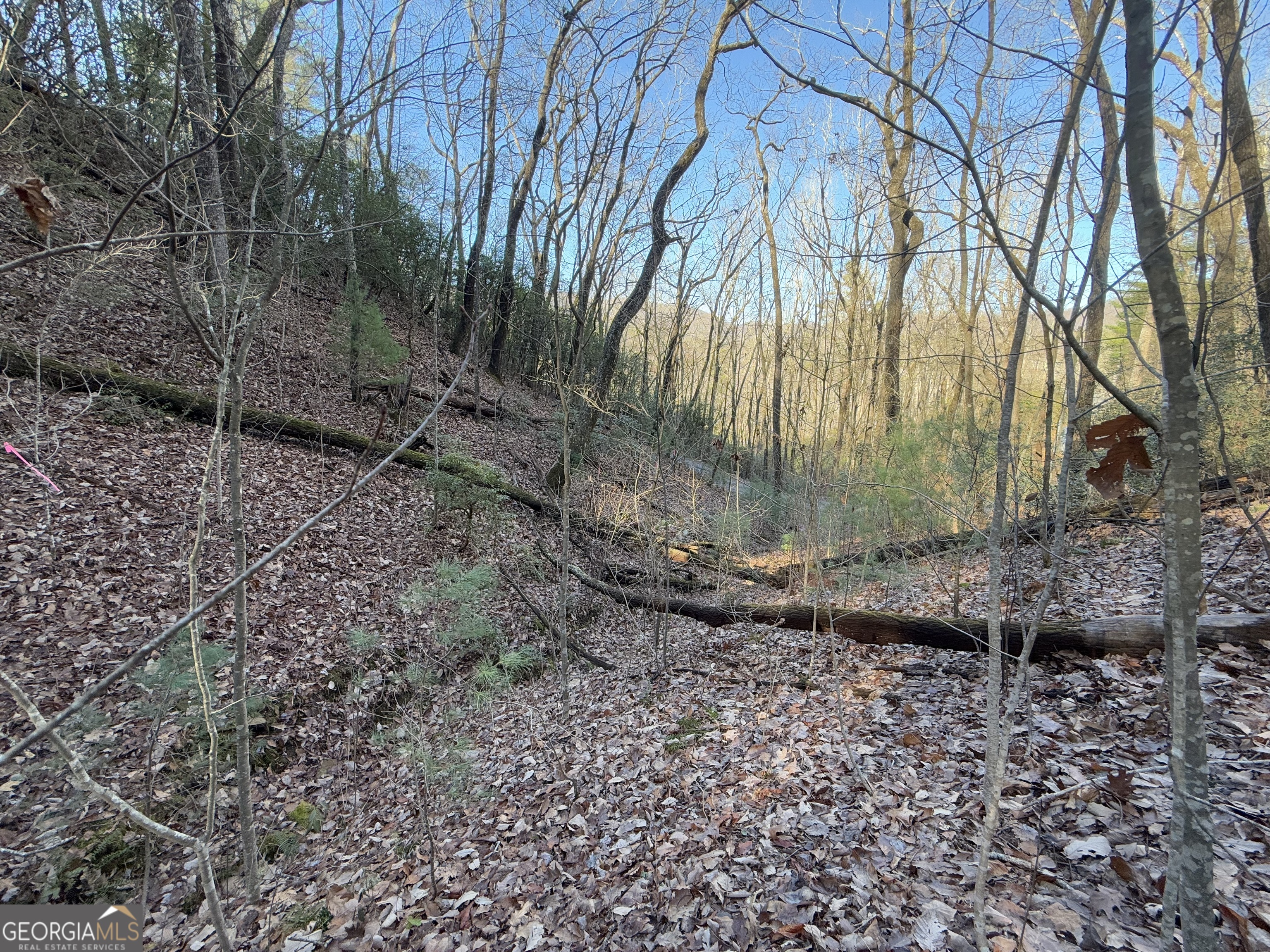 0 Arbutus Trail Arbutus Trail Property Photo 6