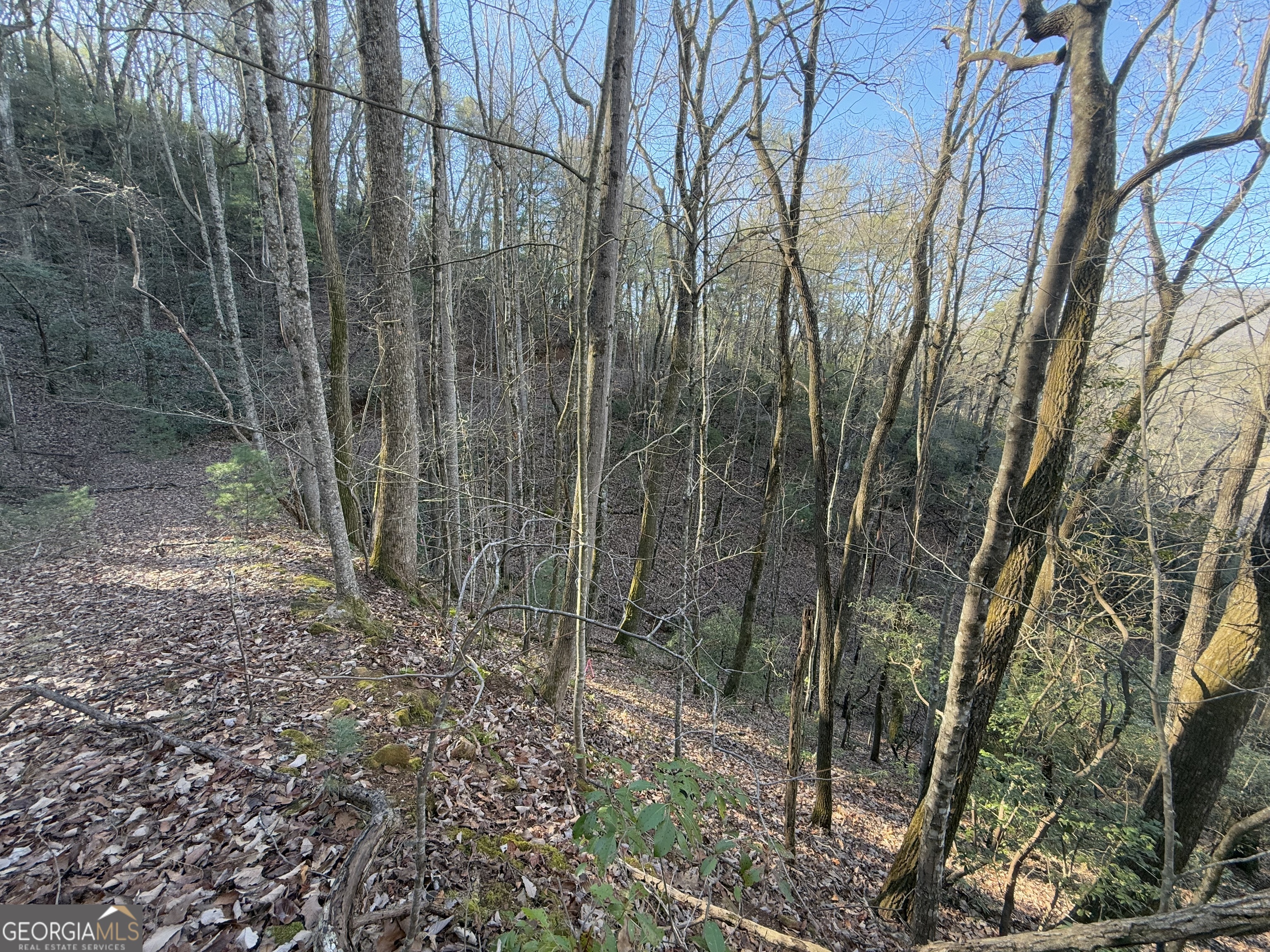 0 Arbutus Trail Arbutus Trail Property Photo 8