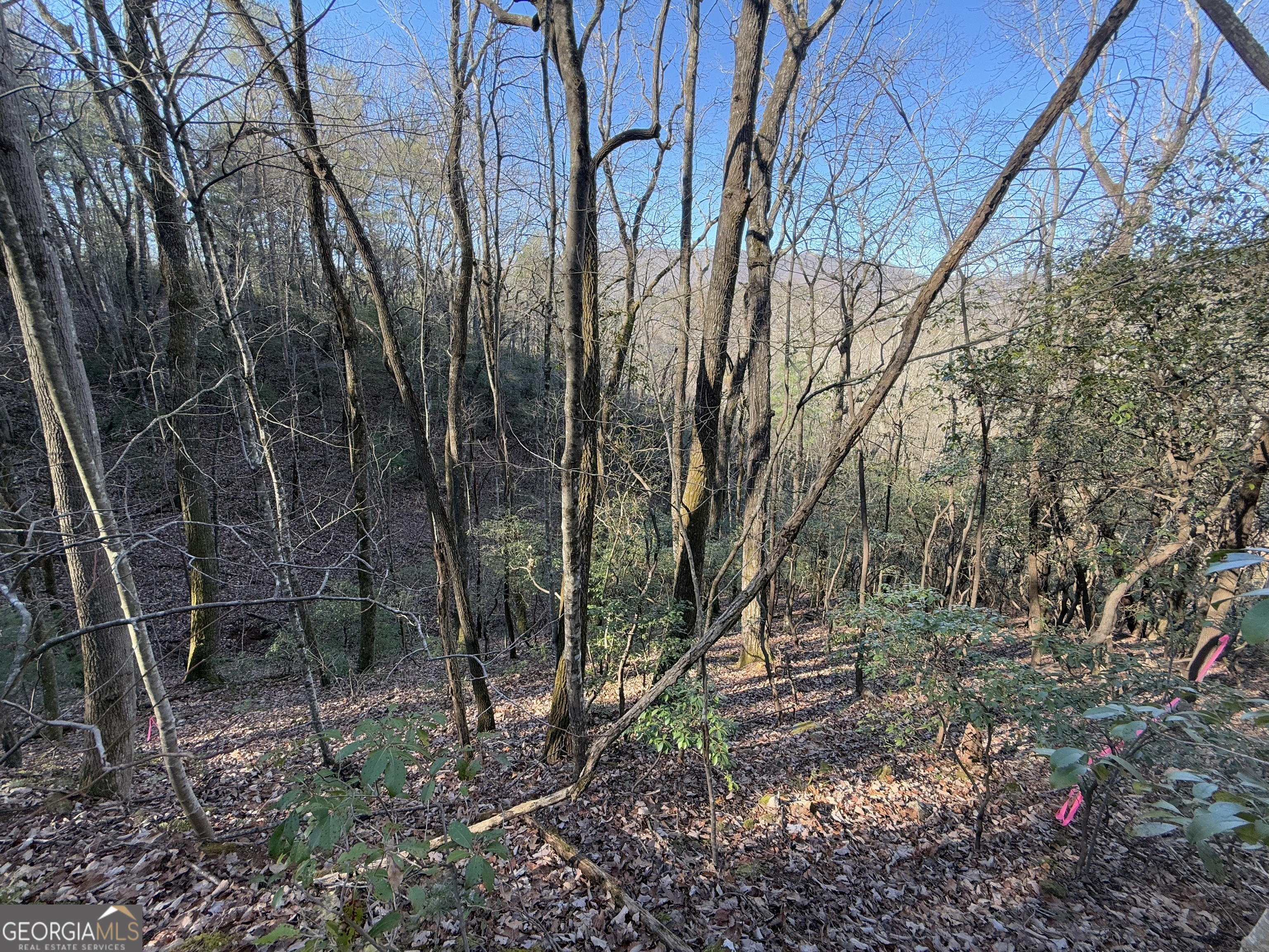 0 Arbutus Trail Arbutus Trail Property Photo 9