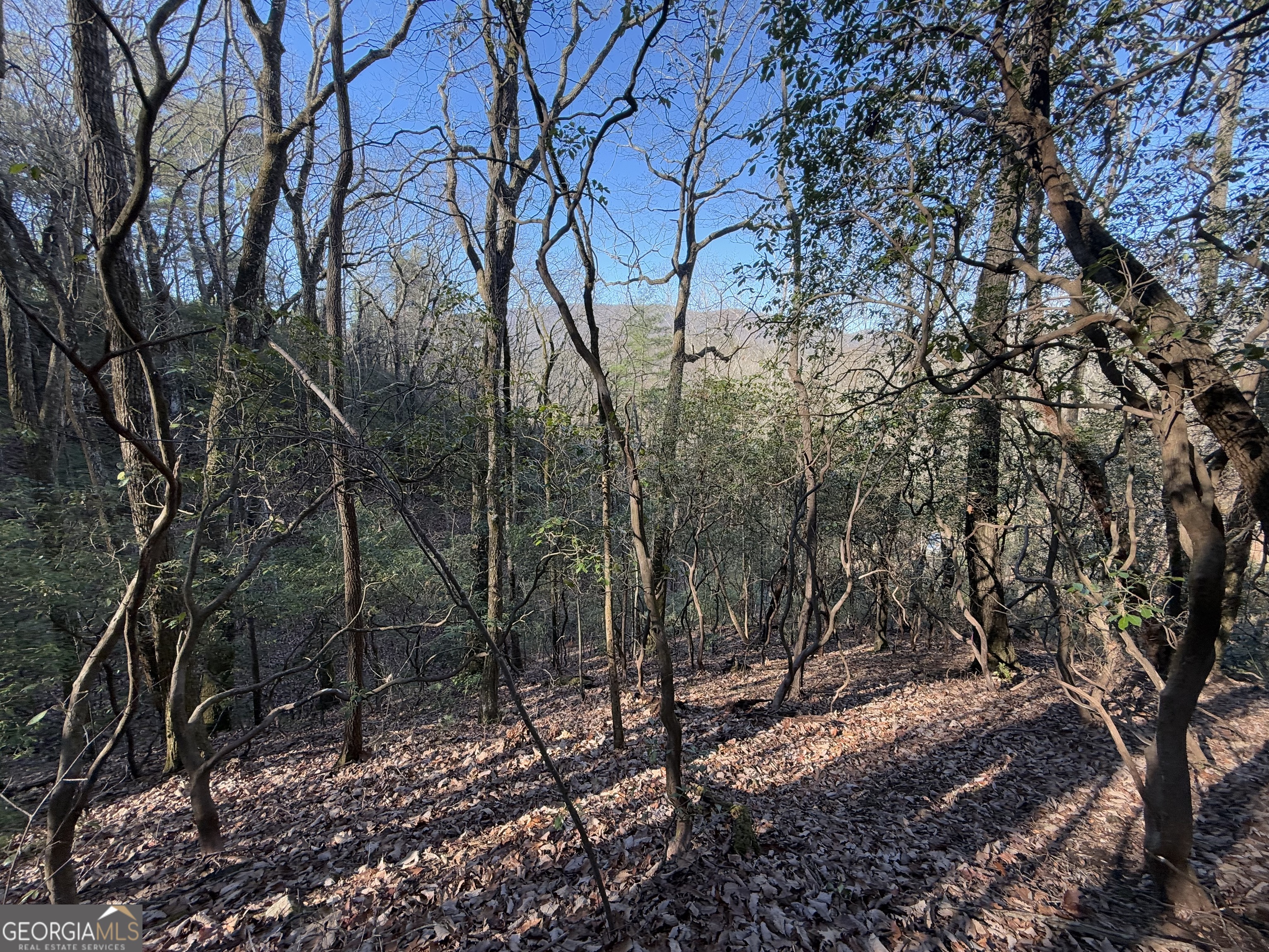0 Arbutus Trail Arbutus Trail Property Photo 10