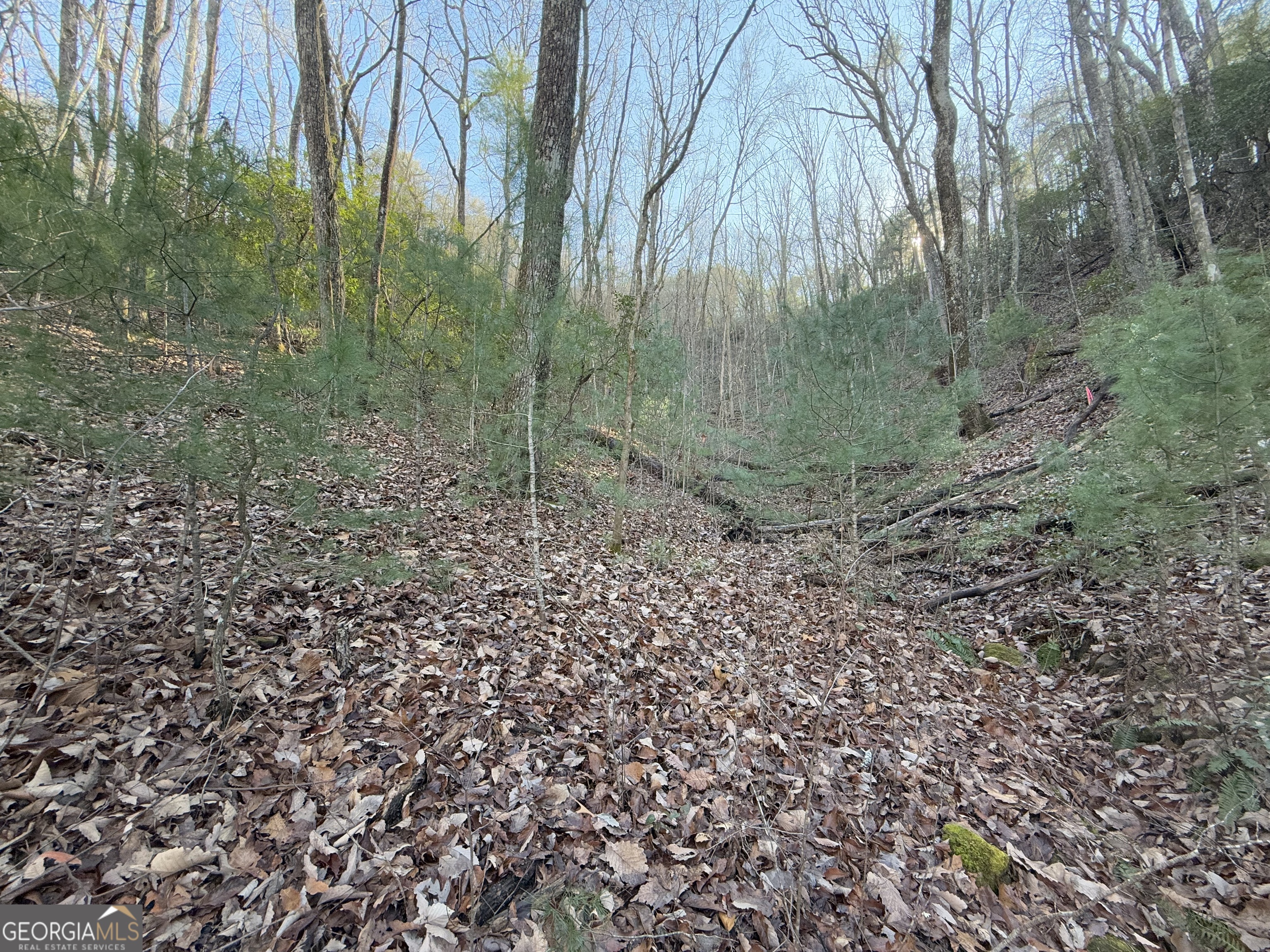 0 Arbutus Trail Arbutus Trail Property Photo 11