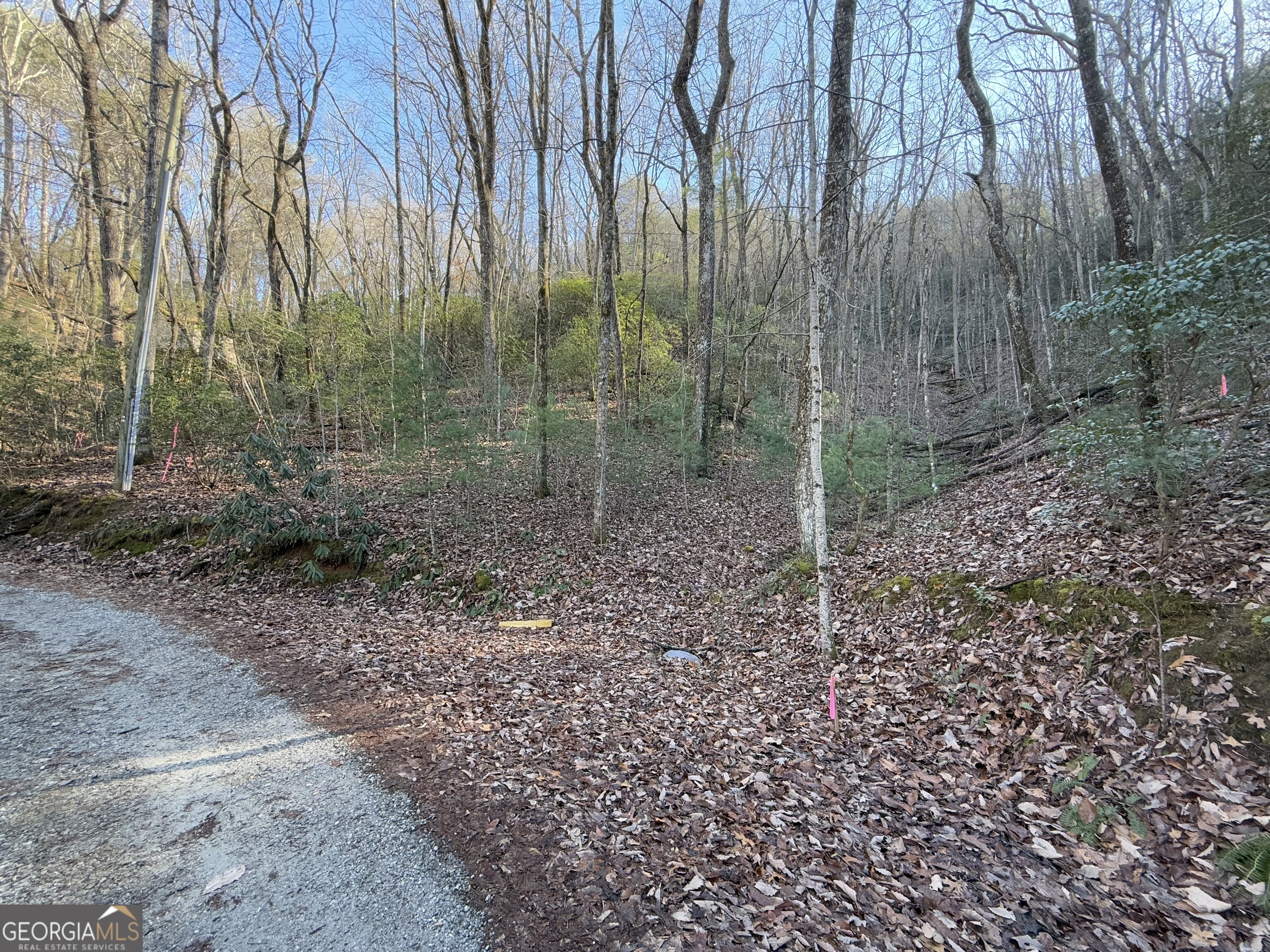 0 Arbutus Trail Arbutus Trail Property Photo 12