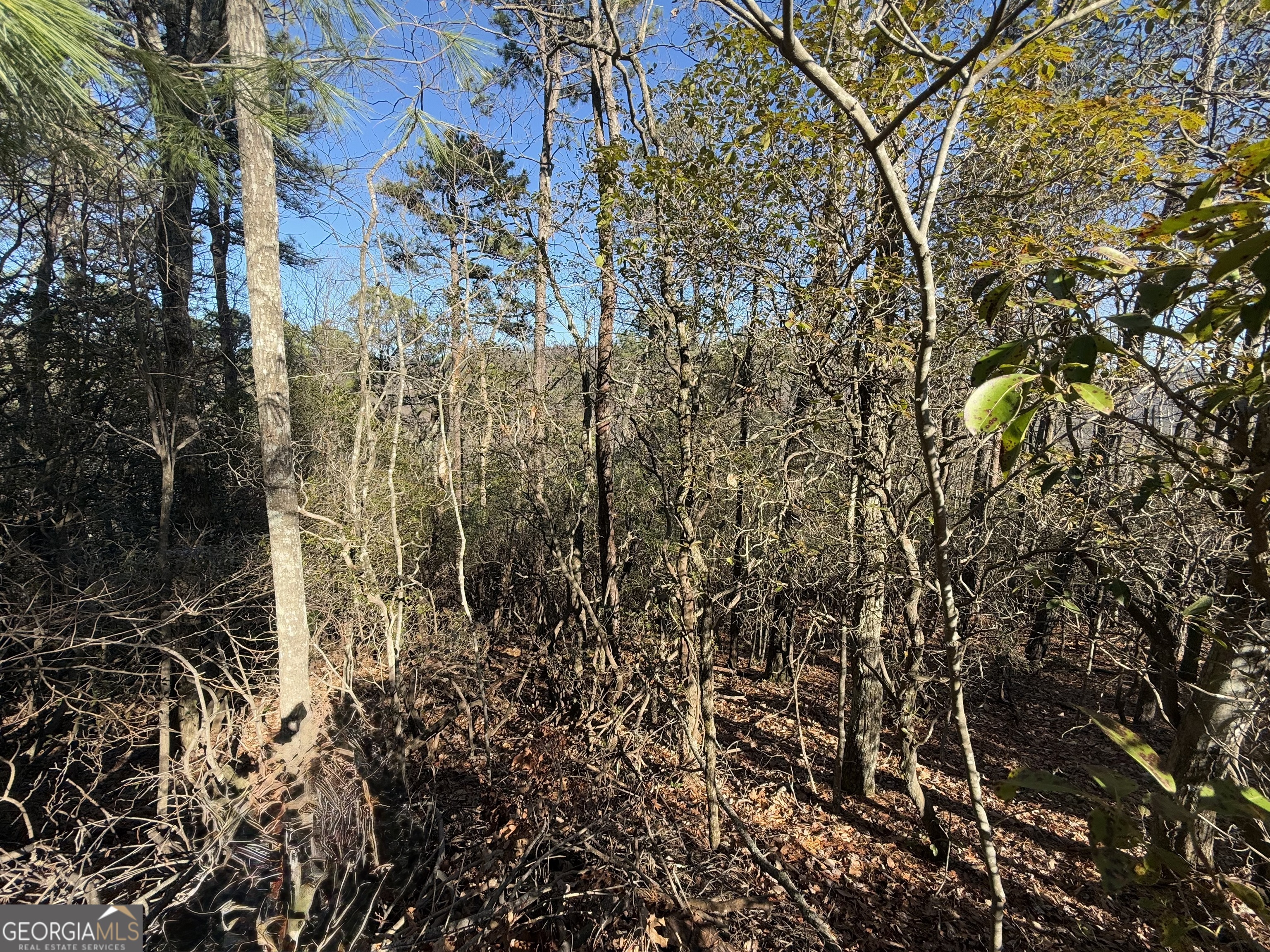 0 Confederate Drive Lot 574 Property Photo 3
