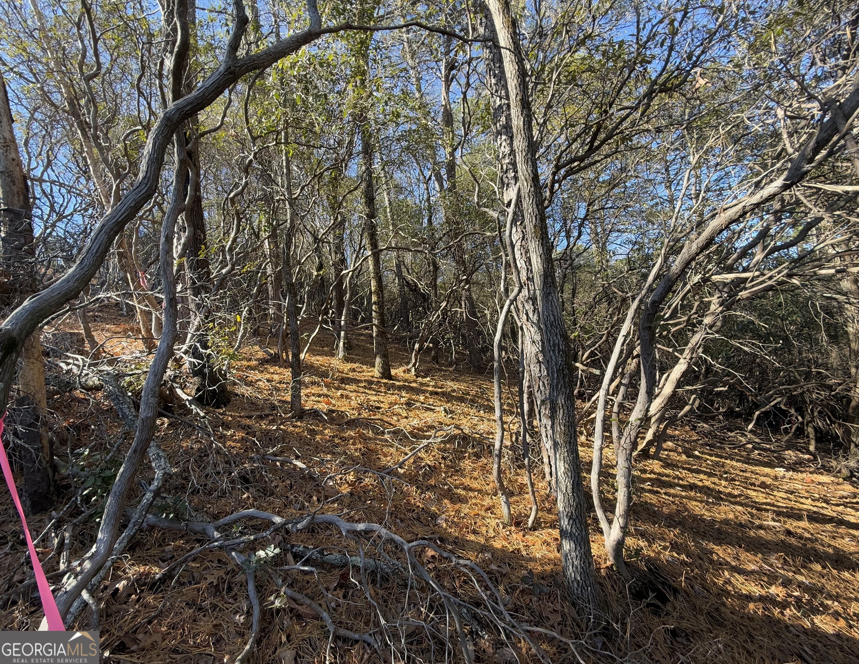 0 Confederate Drive Lot 574 Property Photo 4