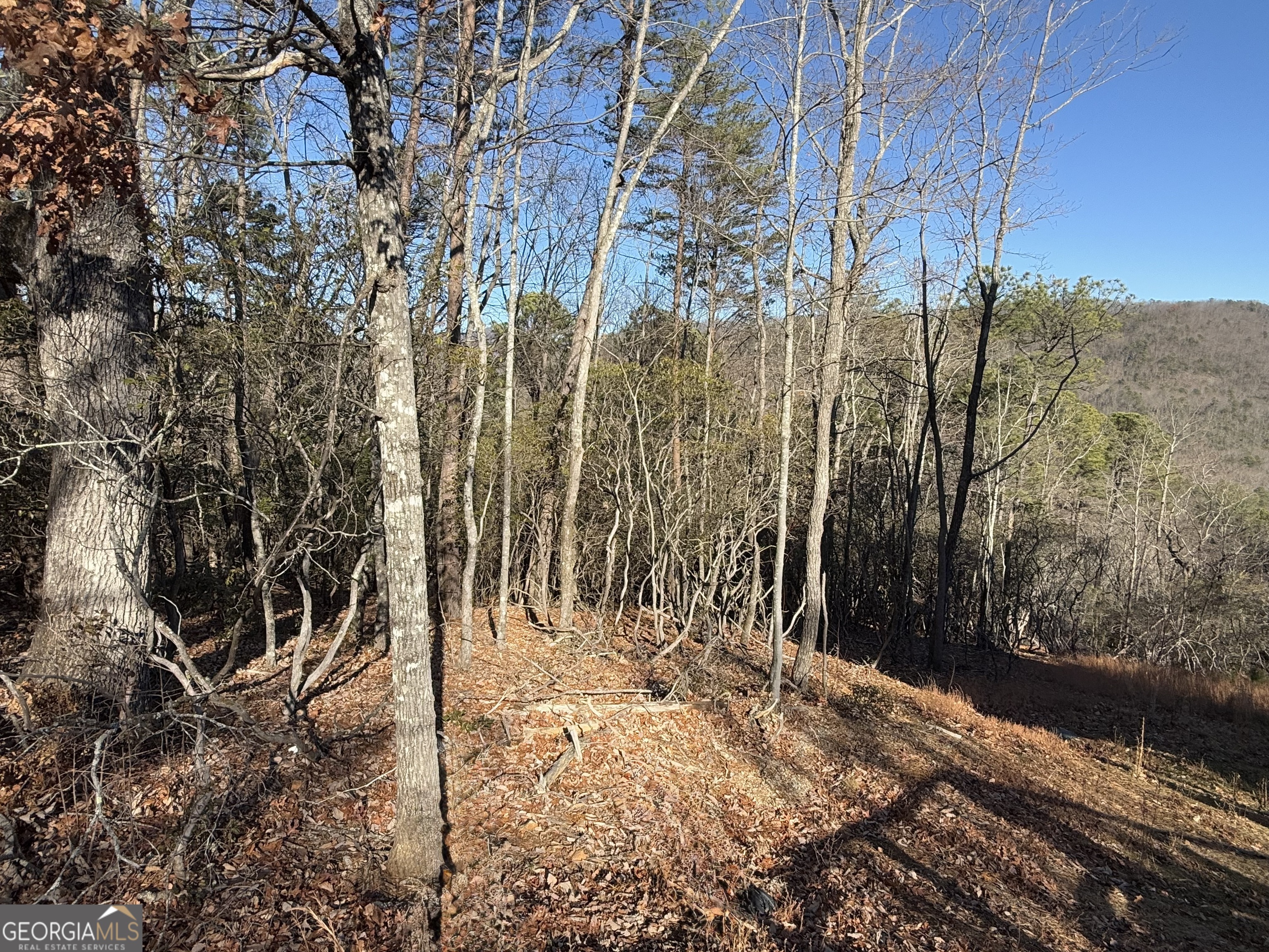 0 Confederate Drive Lot 574 Property Photo 5