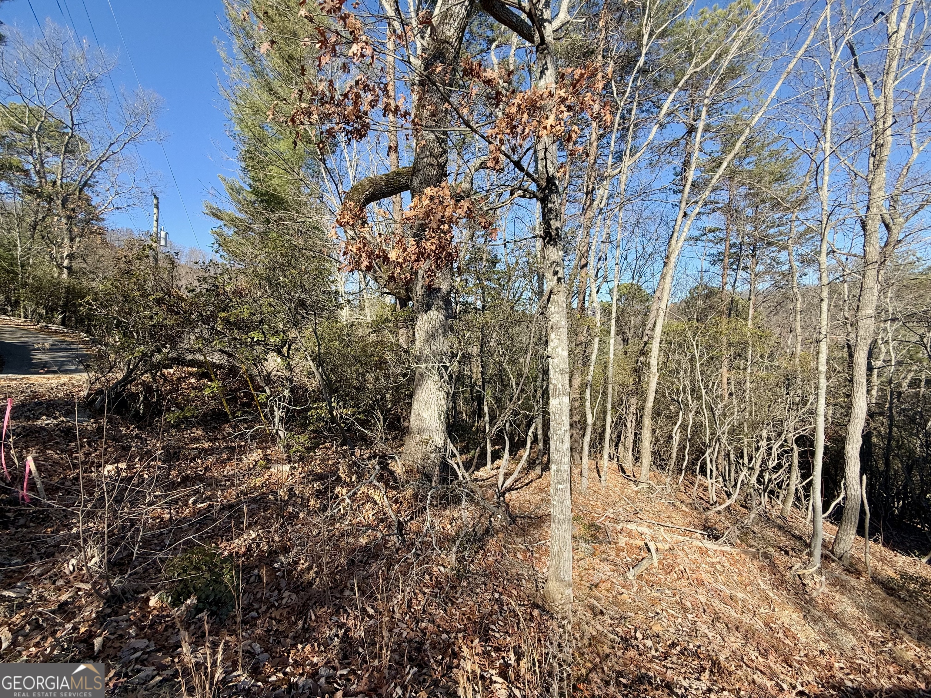 0 Confederate Drive Lot 574 Property Photo 6