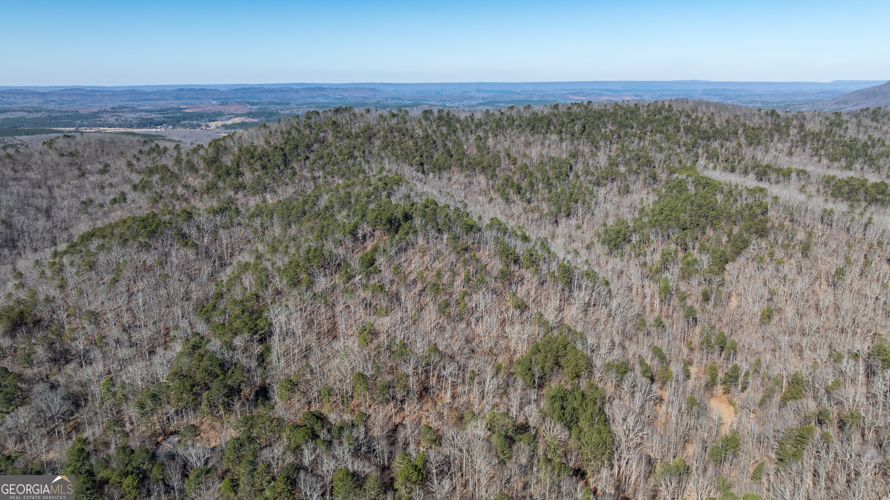 2077 Big Texas Valley Property Photo 41