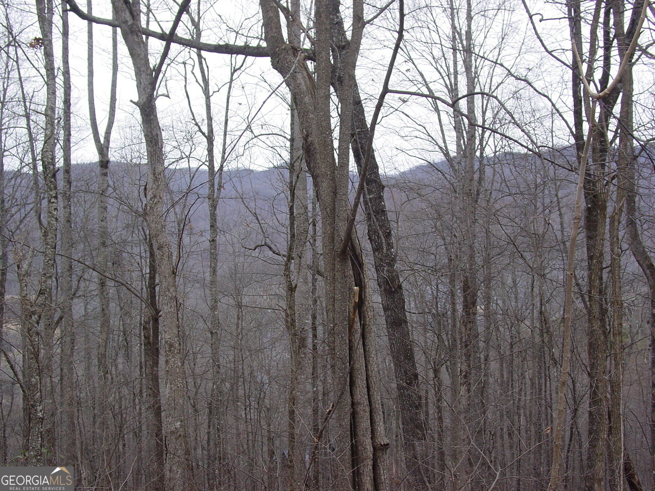 #16 Roaring Ridge Property Photo 1