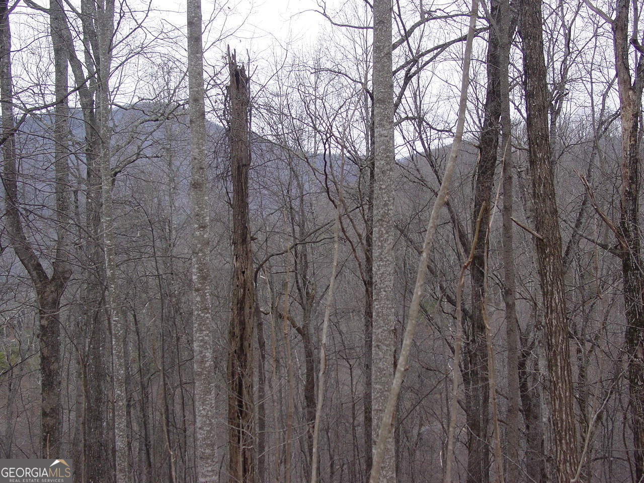 #16 Roaring Ridge Property Photo 2