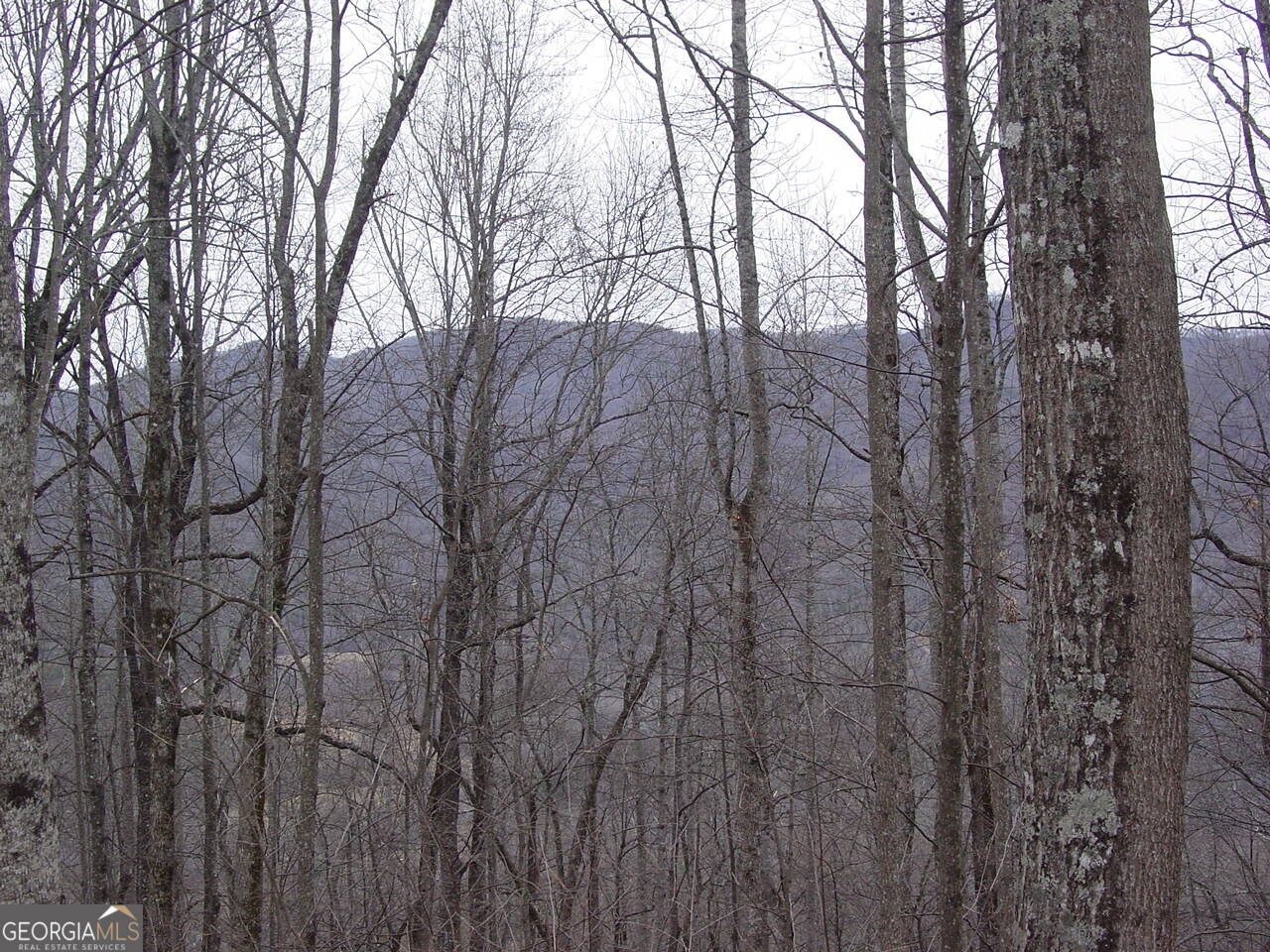 #16 Roaring Ridge Property Photo 3