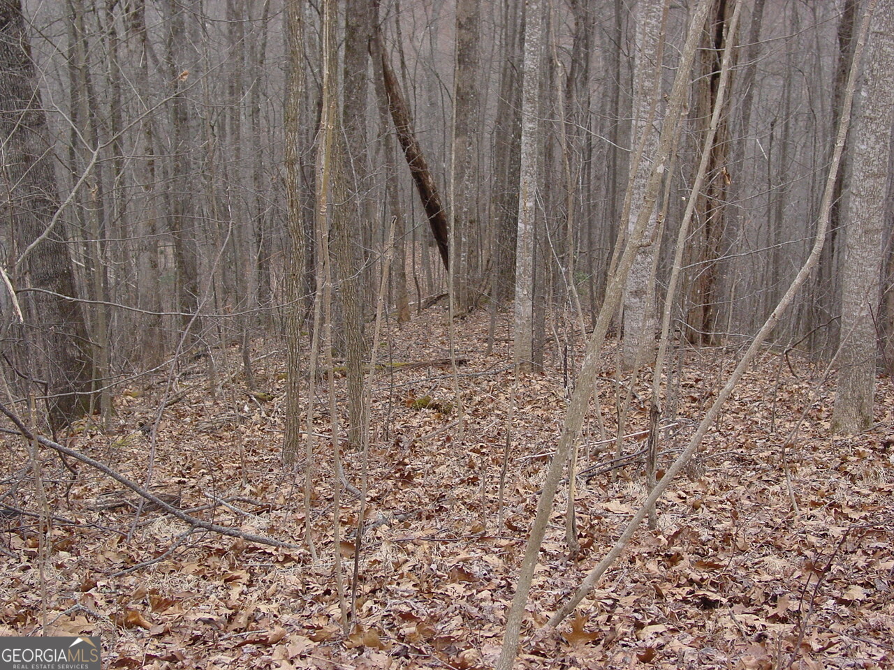 #16 Roaring Ridge Property Photo 4