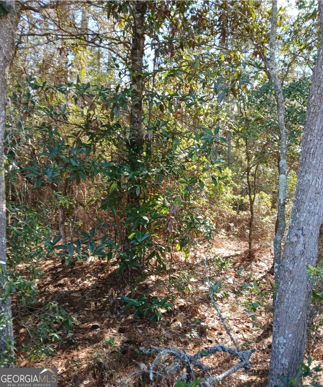 0-lot 1 Owen Spatcher Road Lot 1 Property Photo 6