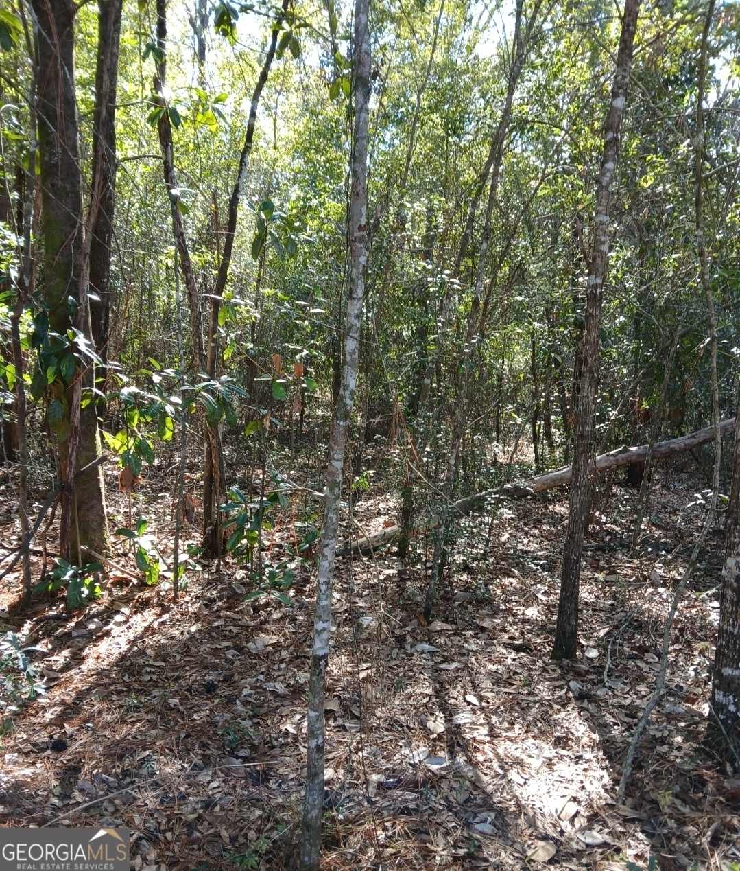 0-lot 1 Owen Spatcher Road Lot 1 Property Photo 7