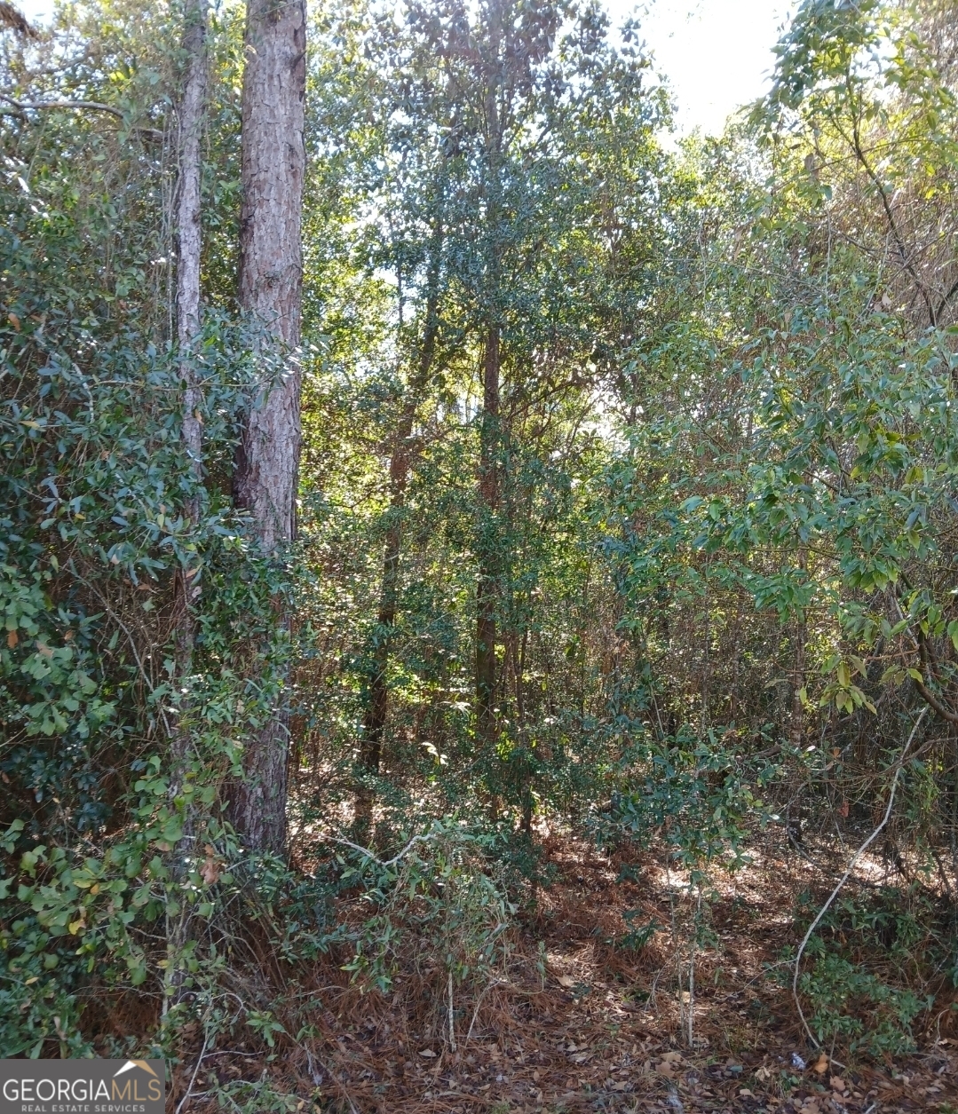0-lot 1 Owen Spatcher Road Lot 1 Property Photo 8