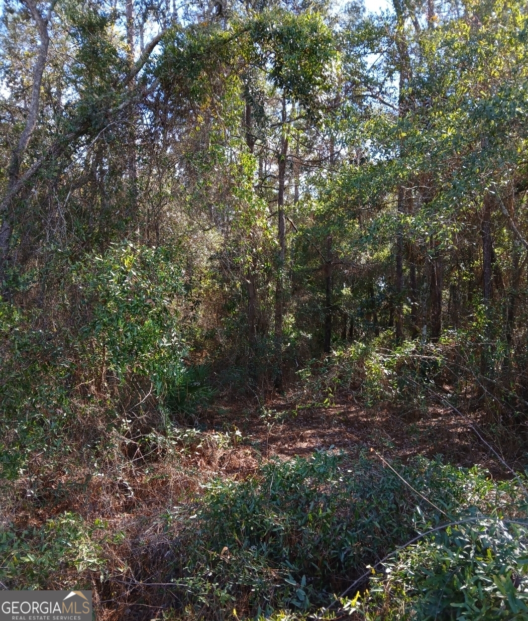 0-lot 1 Owen Spatcher Road Lot 1 Property Photo 9