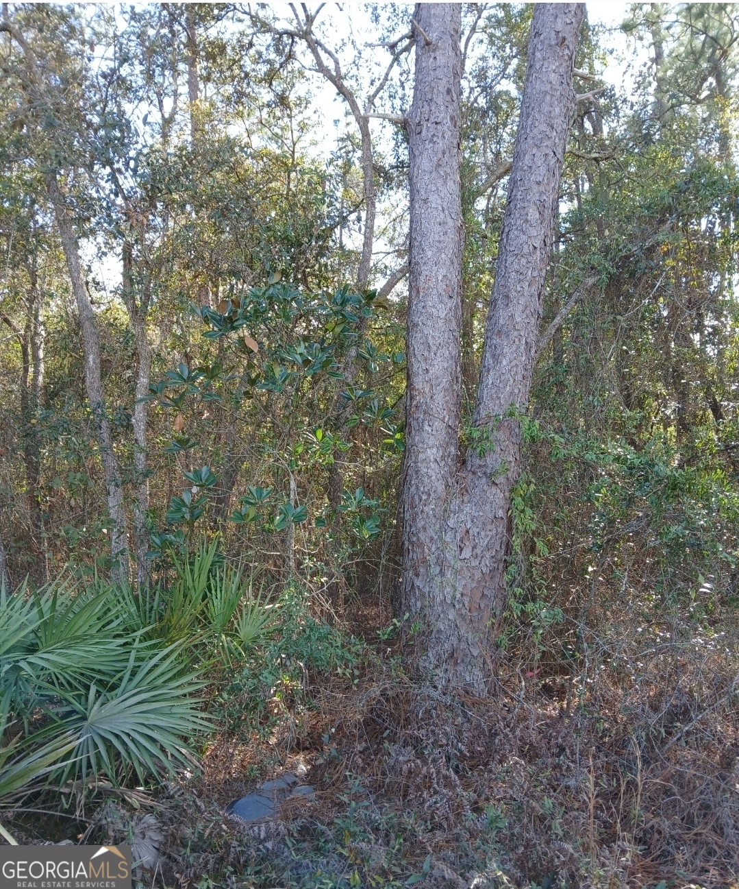 0-lot 1 Owen Spatcher Road Lot 1 Property Photo 10