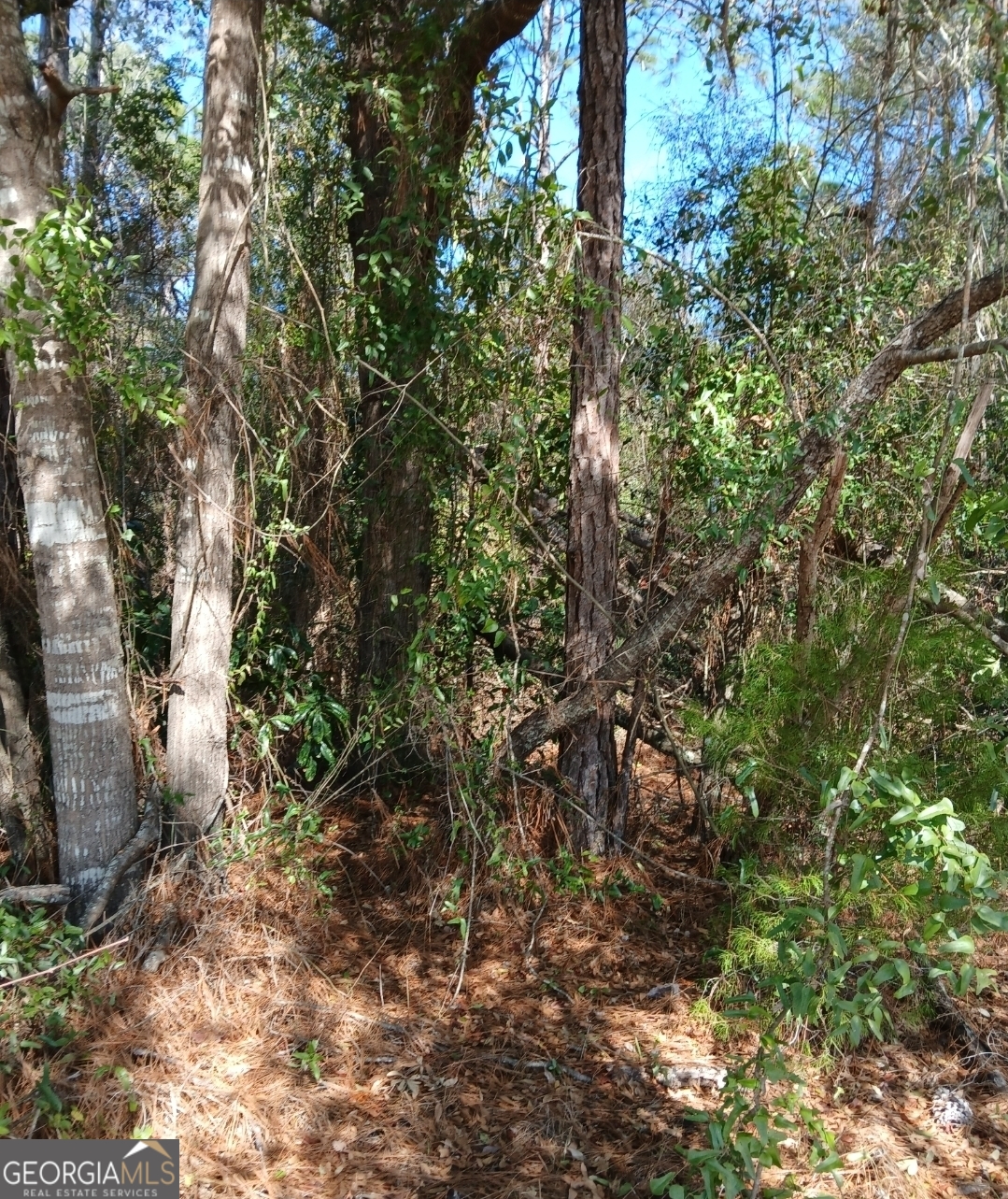0-lot 1 Owen Spatcher Road Lot 1 Property Photo 12