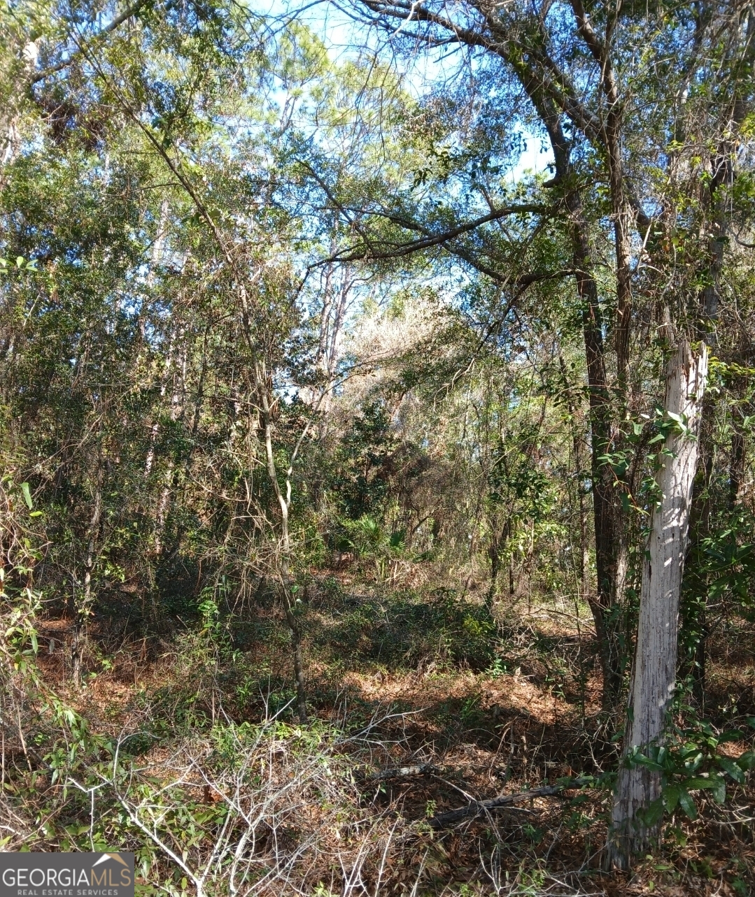 0-lot 1 Owen Spatcher Road Lot 1 Property Photo 13