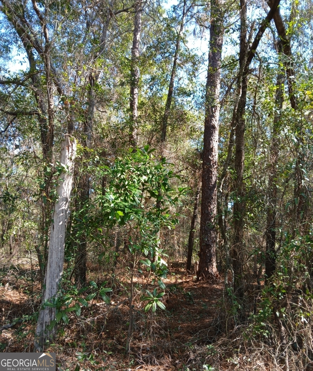 0-lot 1 Owen Spatcher Road Lot 1 Property Photo 14