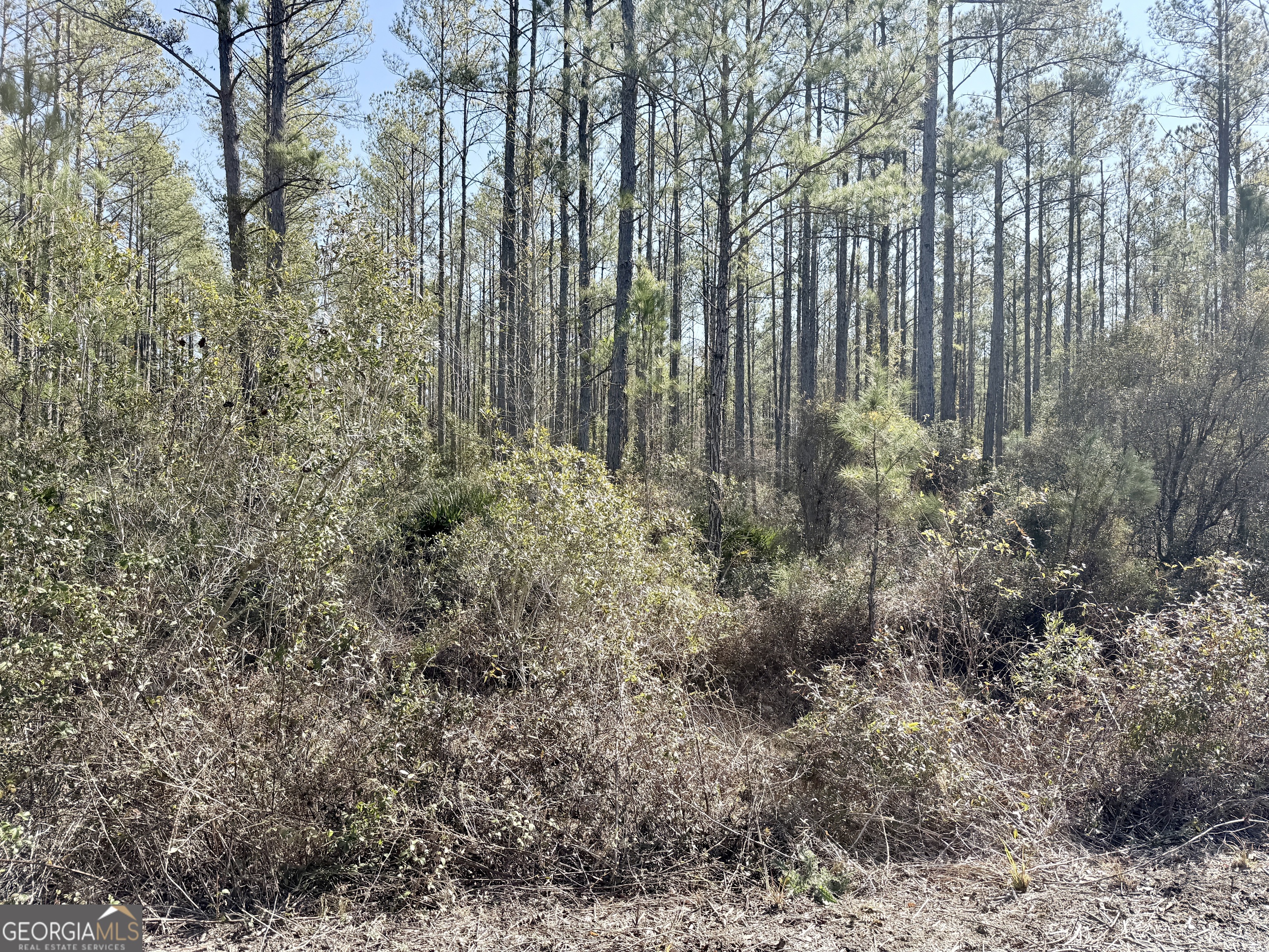 18 Satilla Plantation Property Photo 1