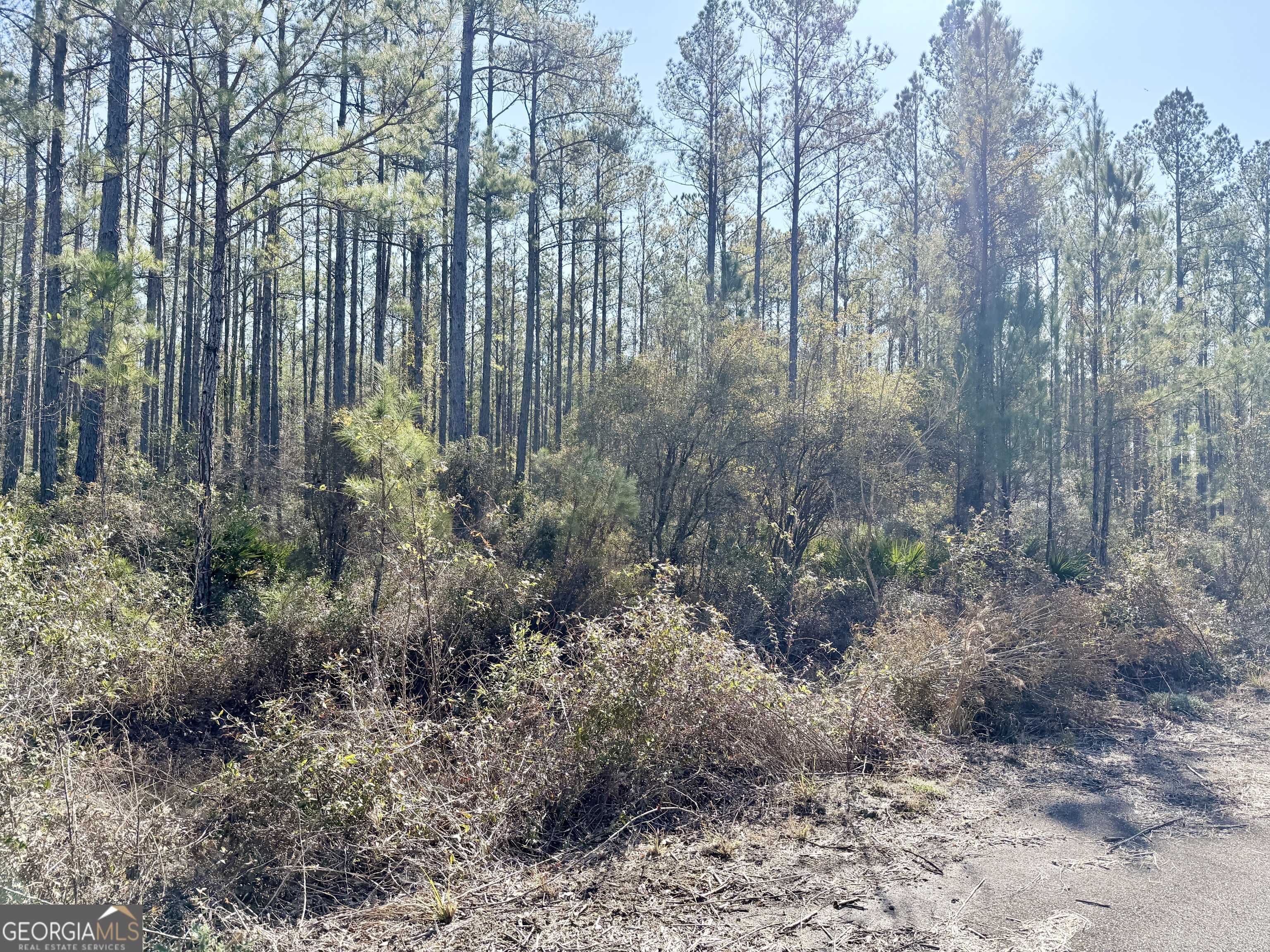 18 Satilla Plantation Property Photo 3