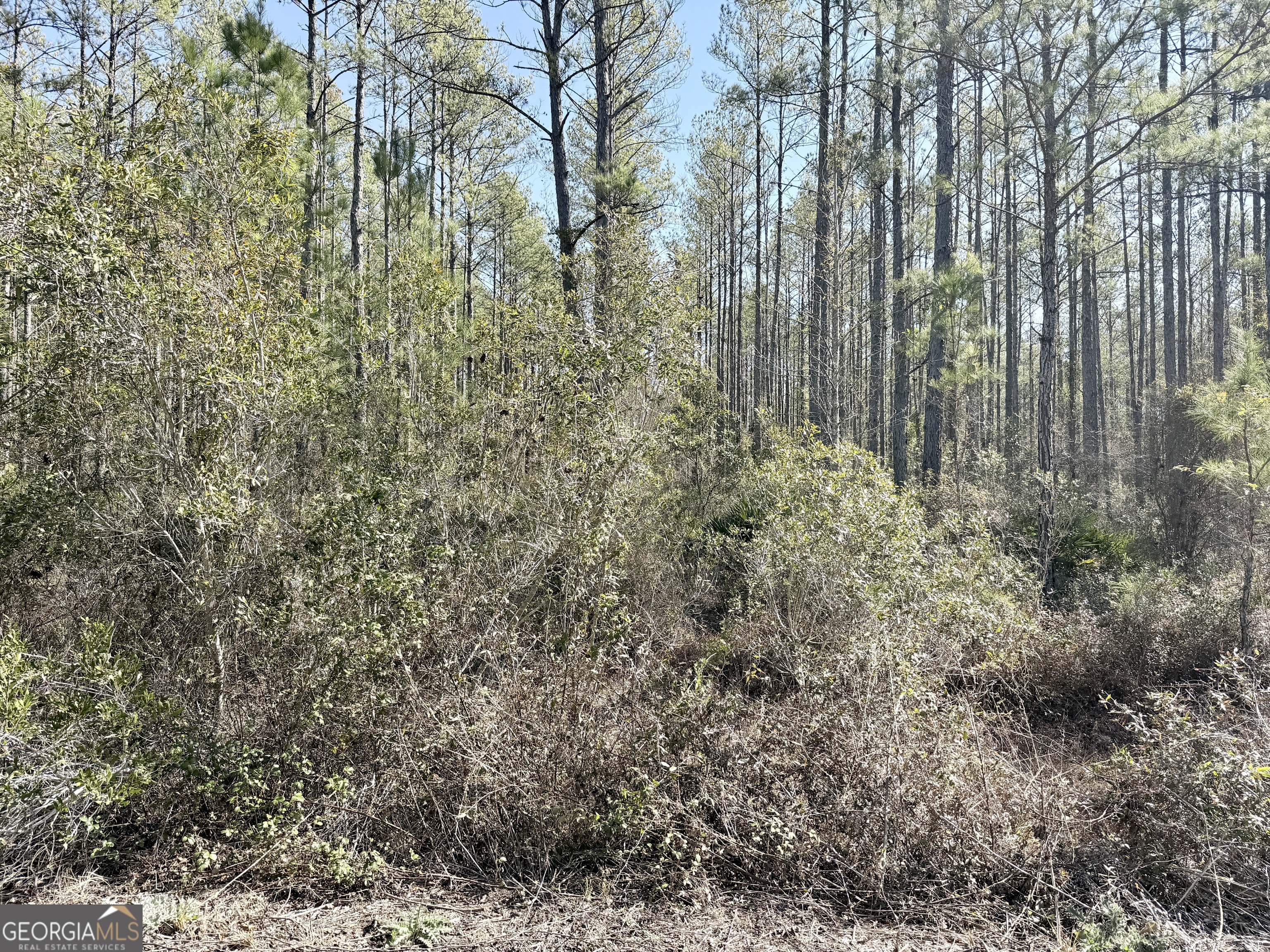 18 Satilla Plantation Property Photo 4