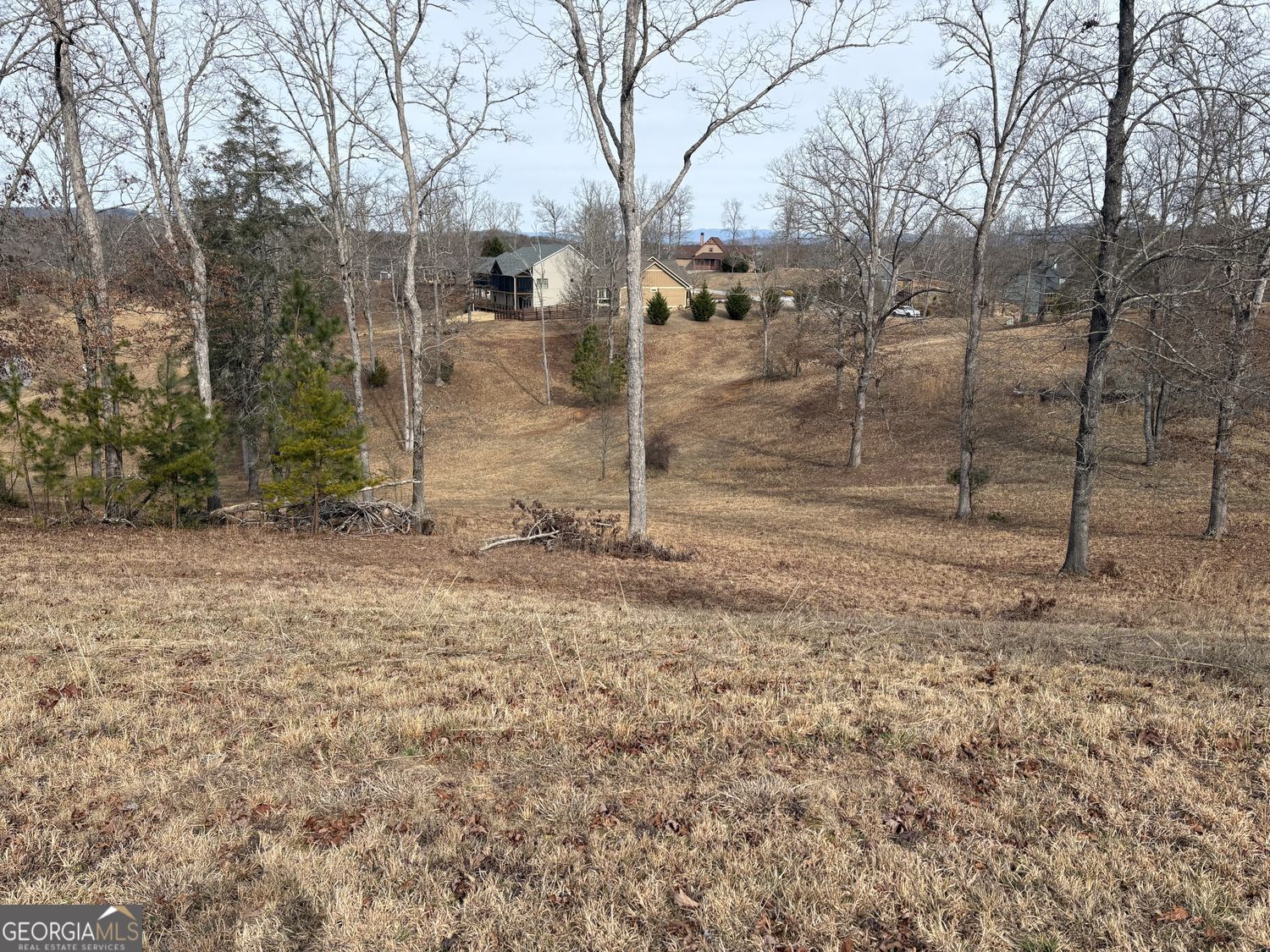 Lot 29 Hogue Way Property Photo 1