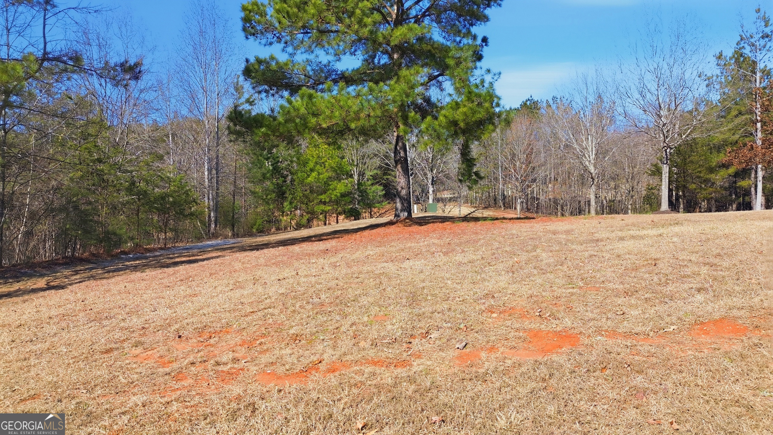 12 Wards Pond Way Property Photo 12
