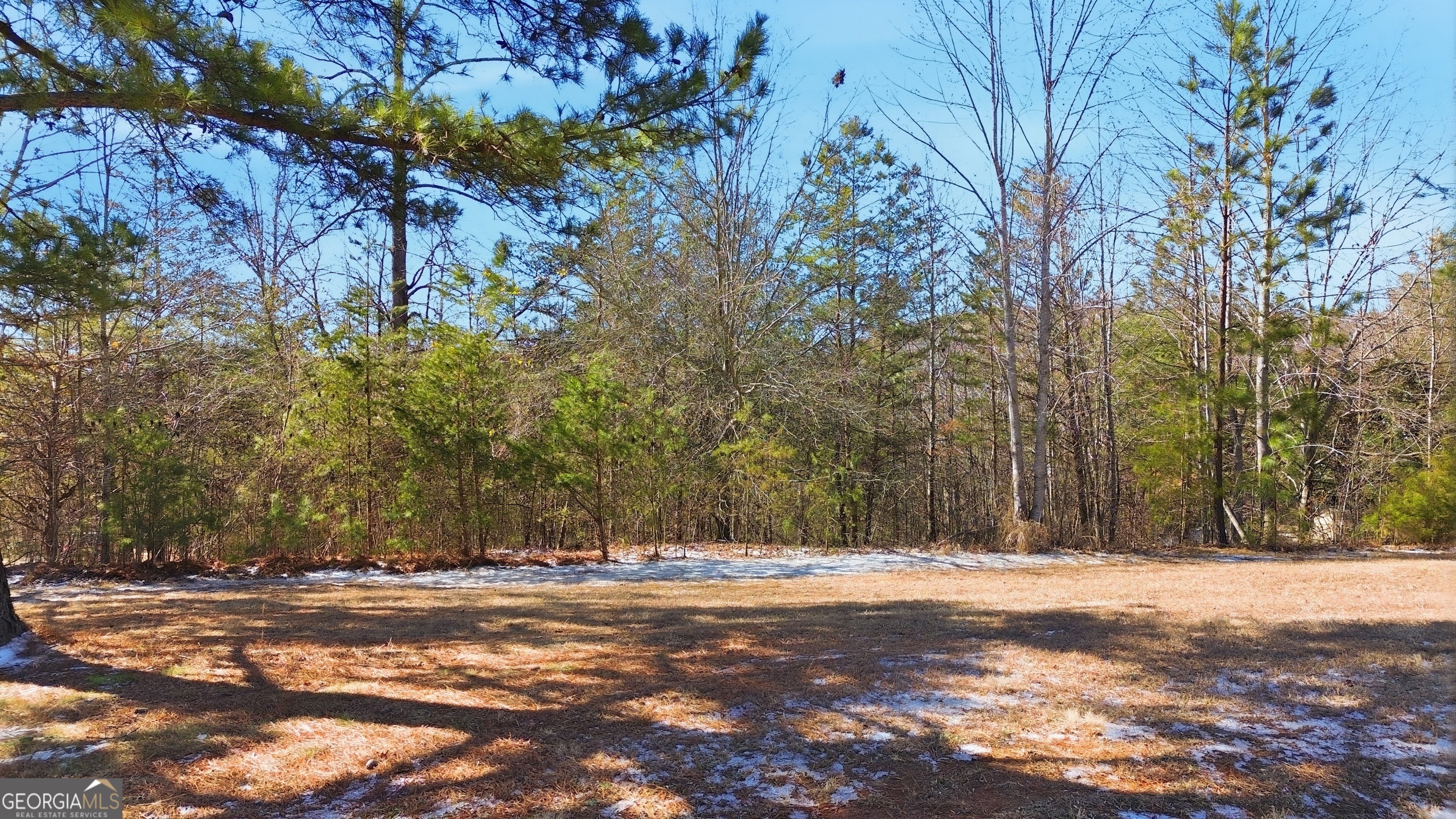 12 Wards Pond Way Property Photo 15