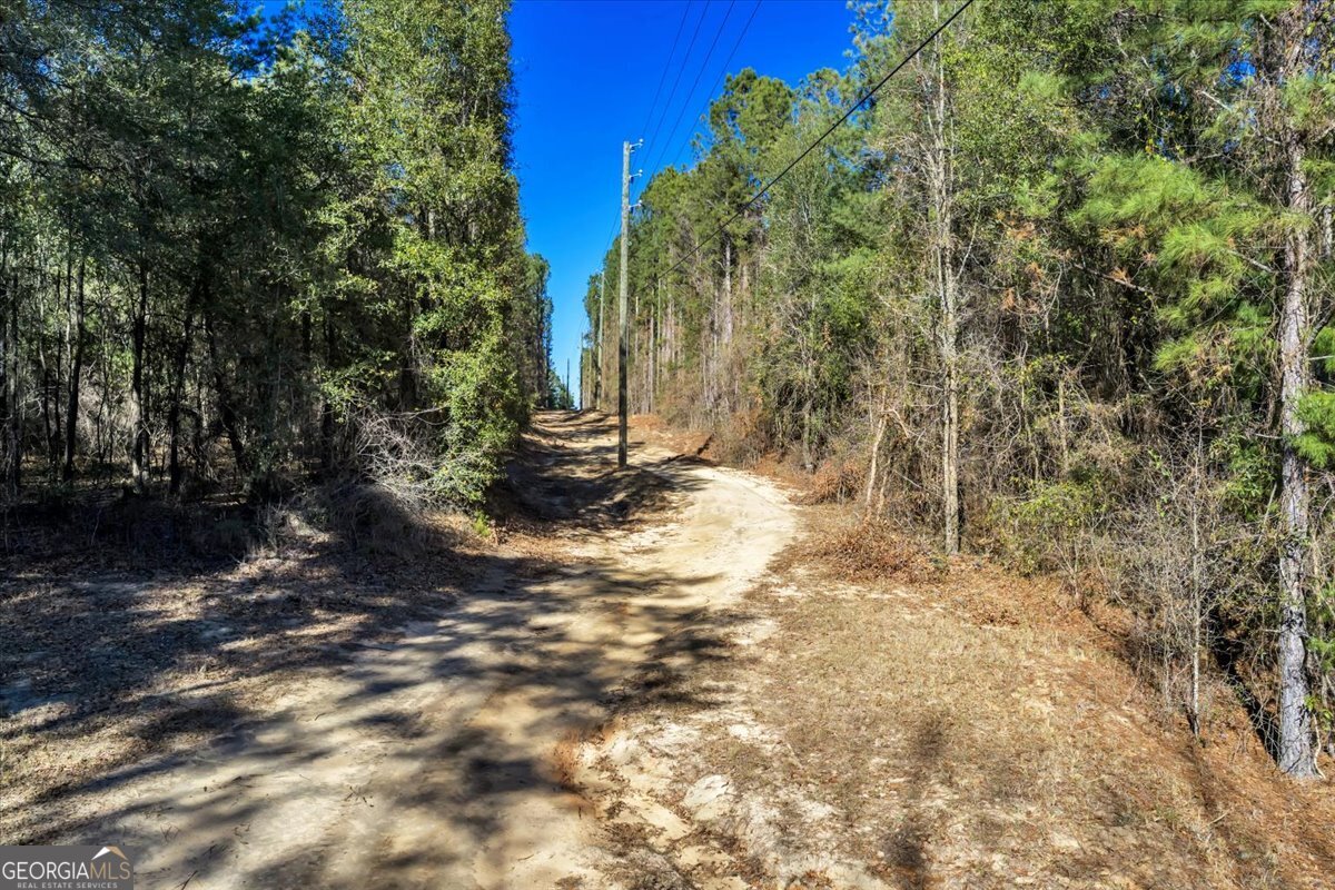 296 Boxwood Road Property Photo 47