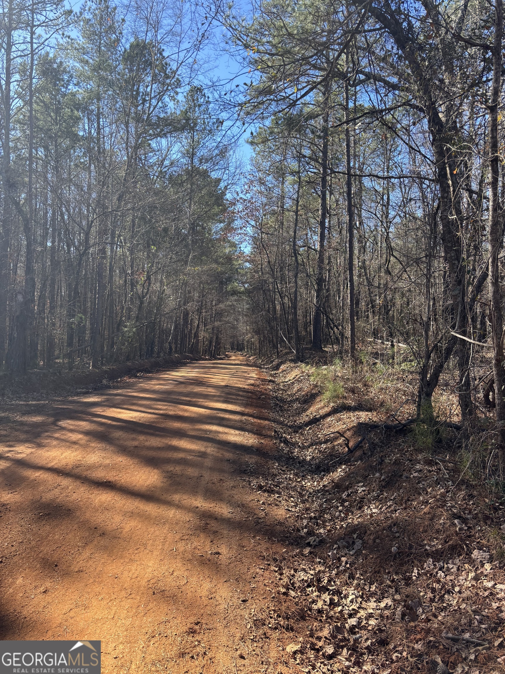 0 Carl Mathis Road Property Photo 1