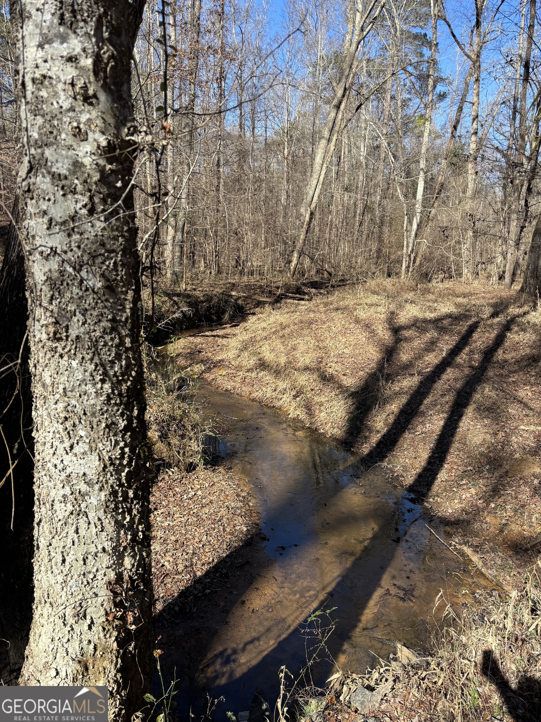 0 Carl Mathis Road Property Photo 2