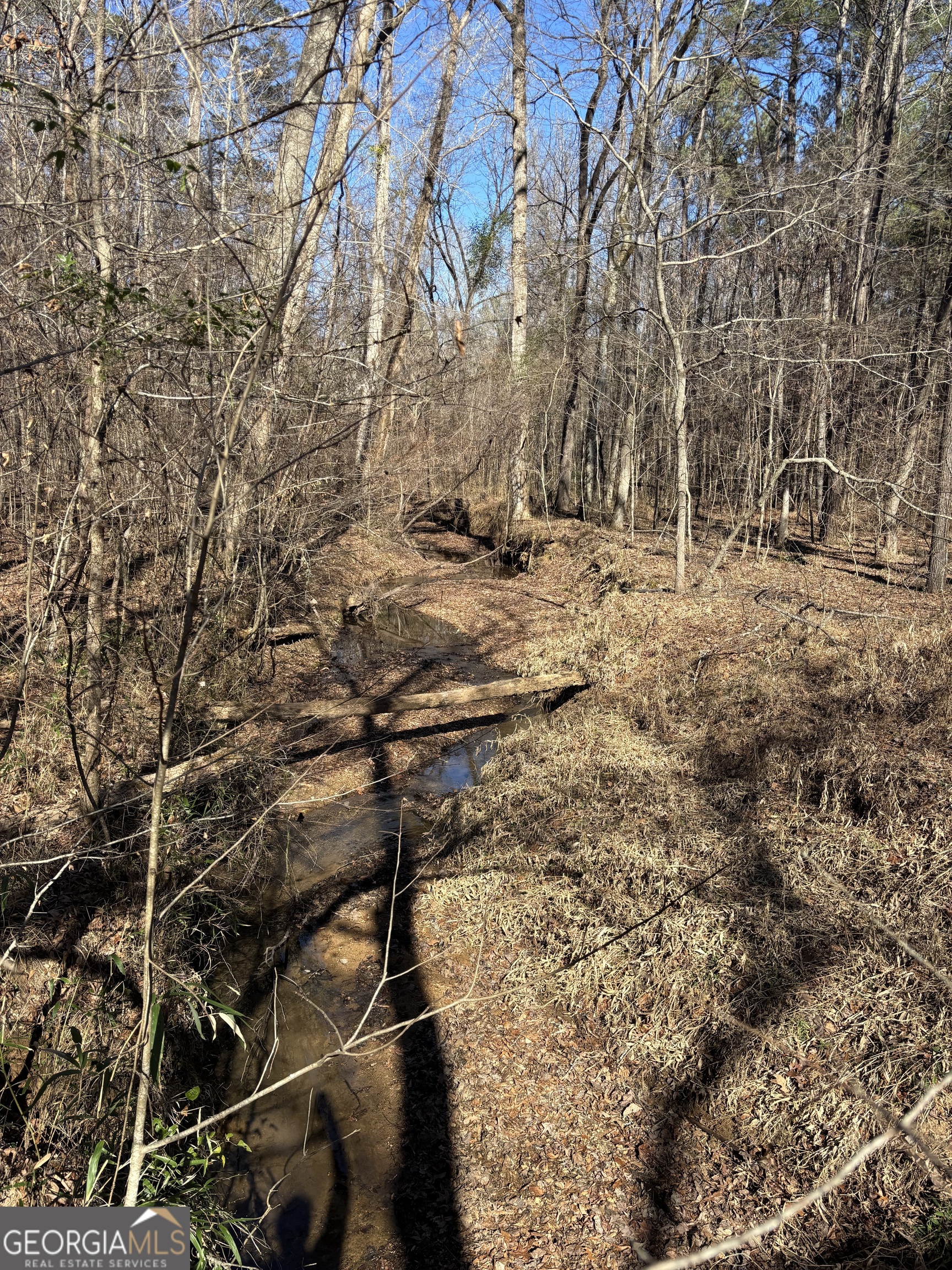 0 Carl Mathis Road Property Photo 3