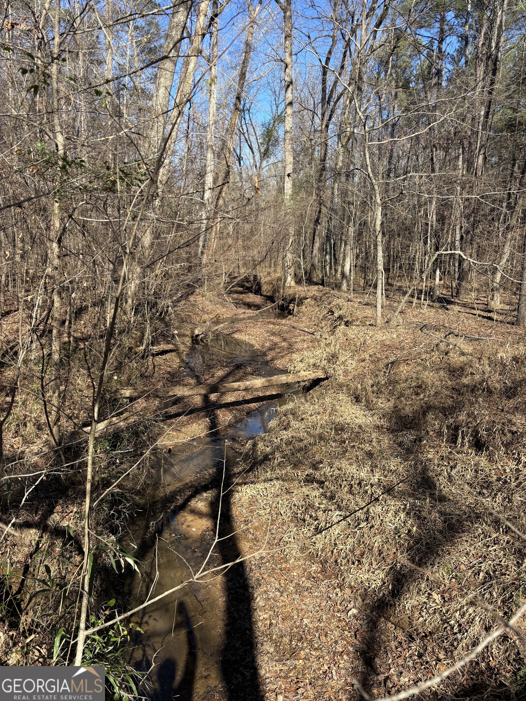 0 Carl Mathis Road Property Photo 4