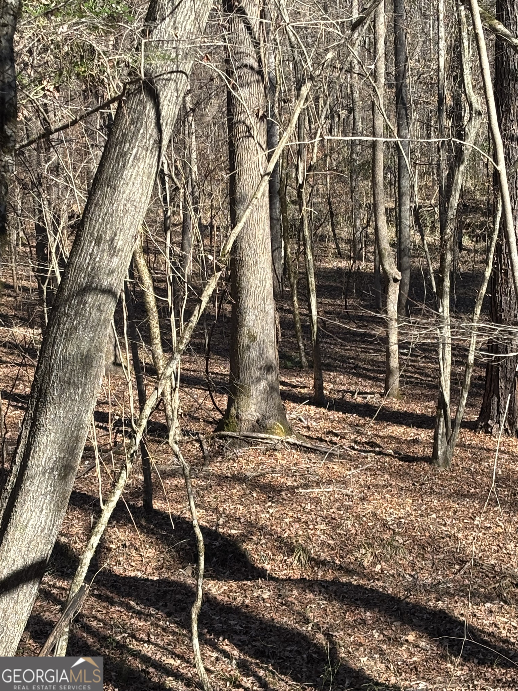 0 Carl Mathis Road Property Photo 5