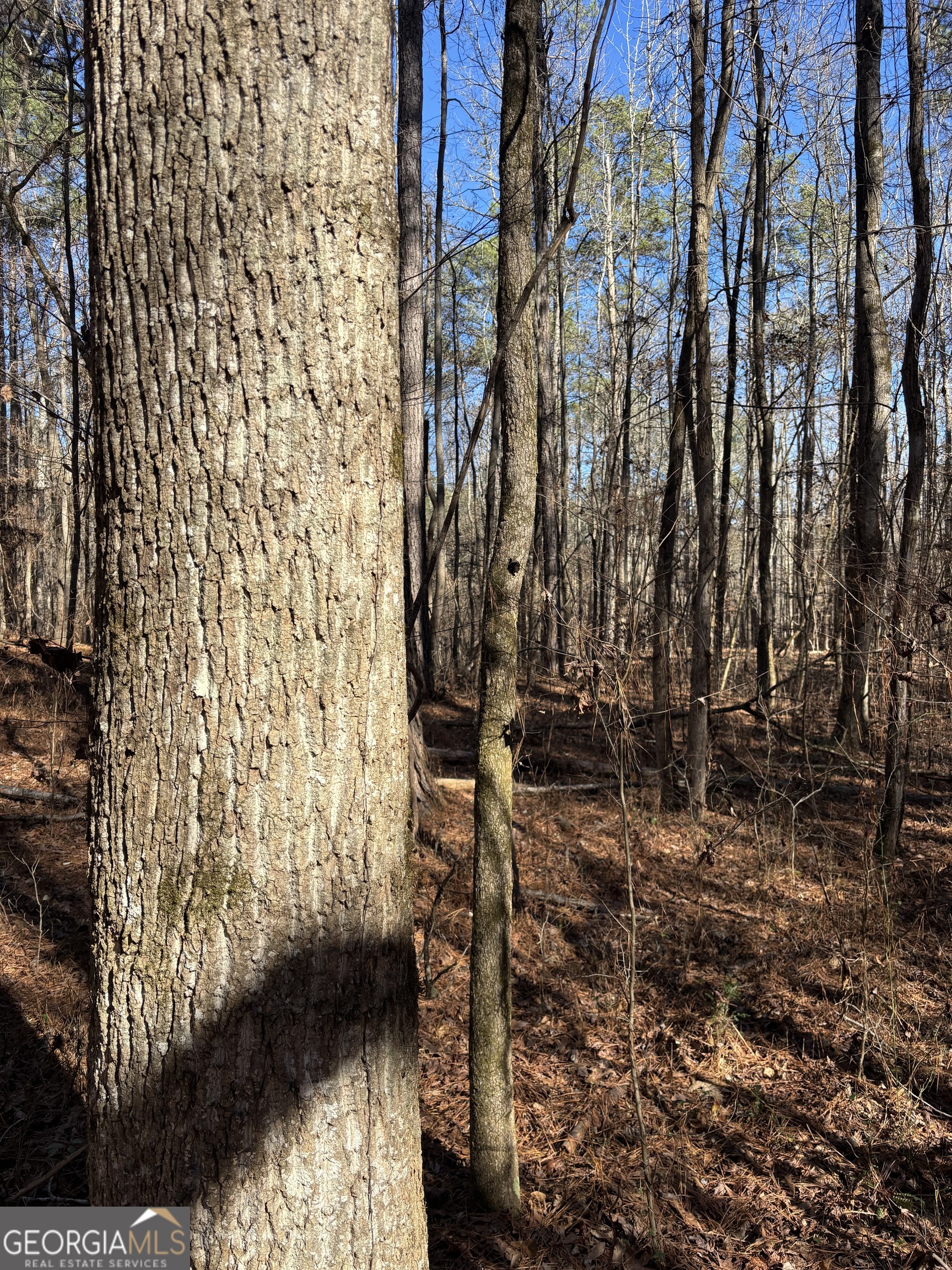 0 Carl Mathis Road Property Photo 8
