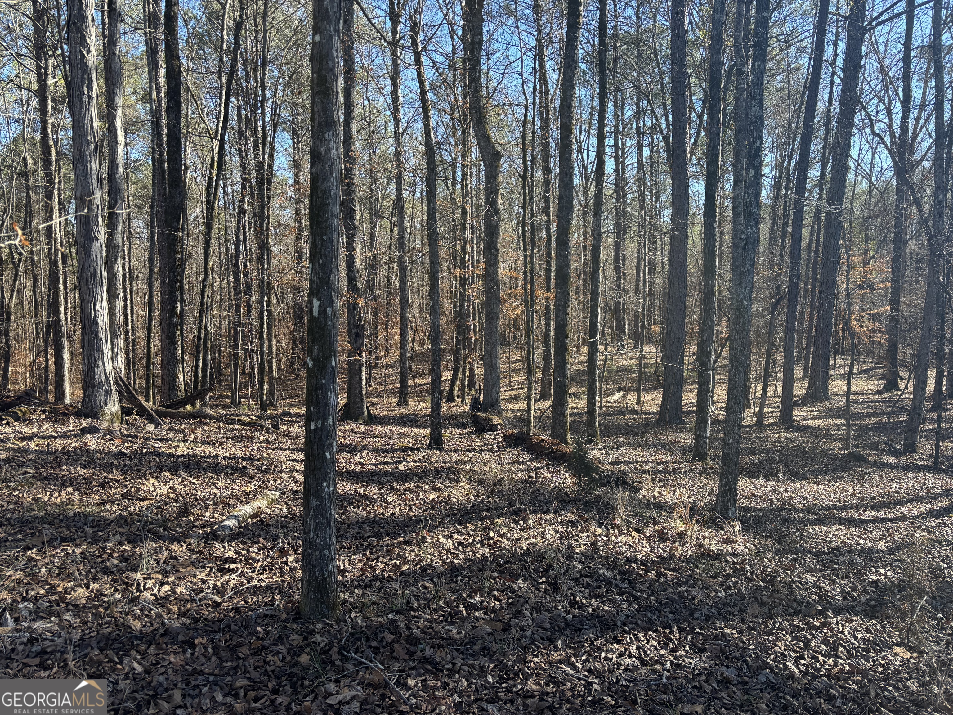 0 Carl Mathis Road Property Photo 9